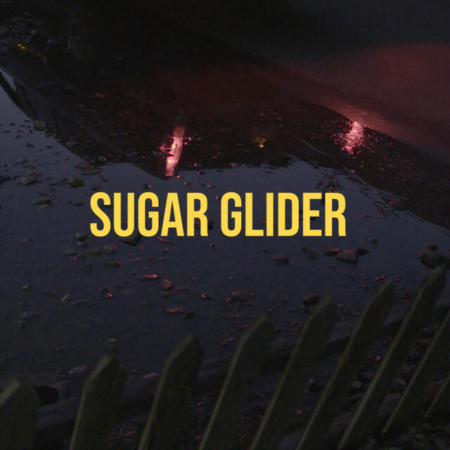 Релиз Sugar Glider