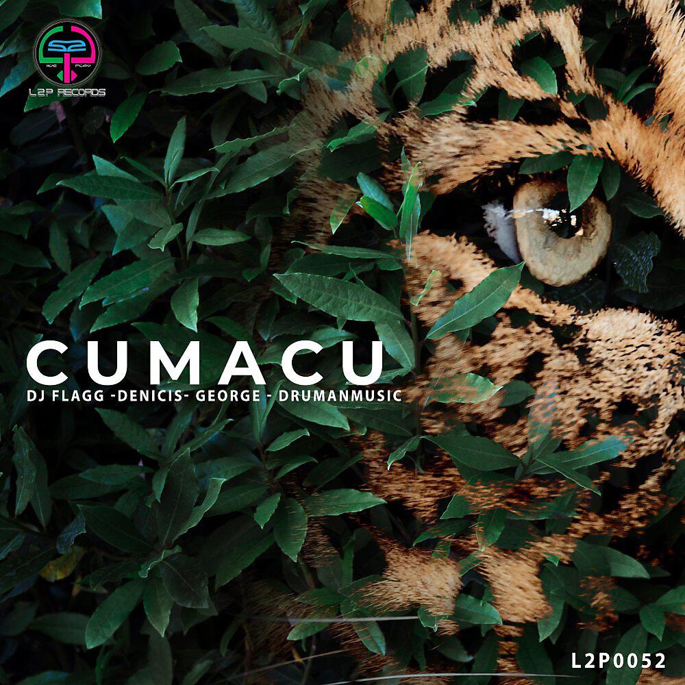Релиз CUMACU