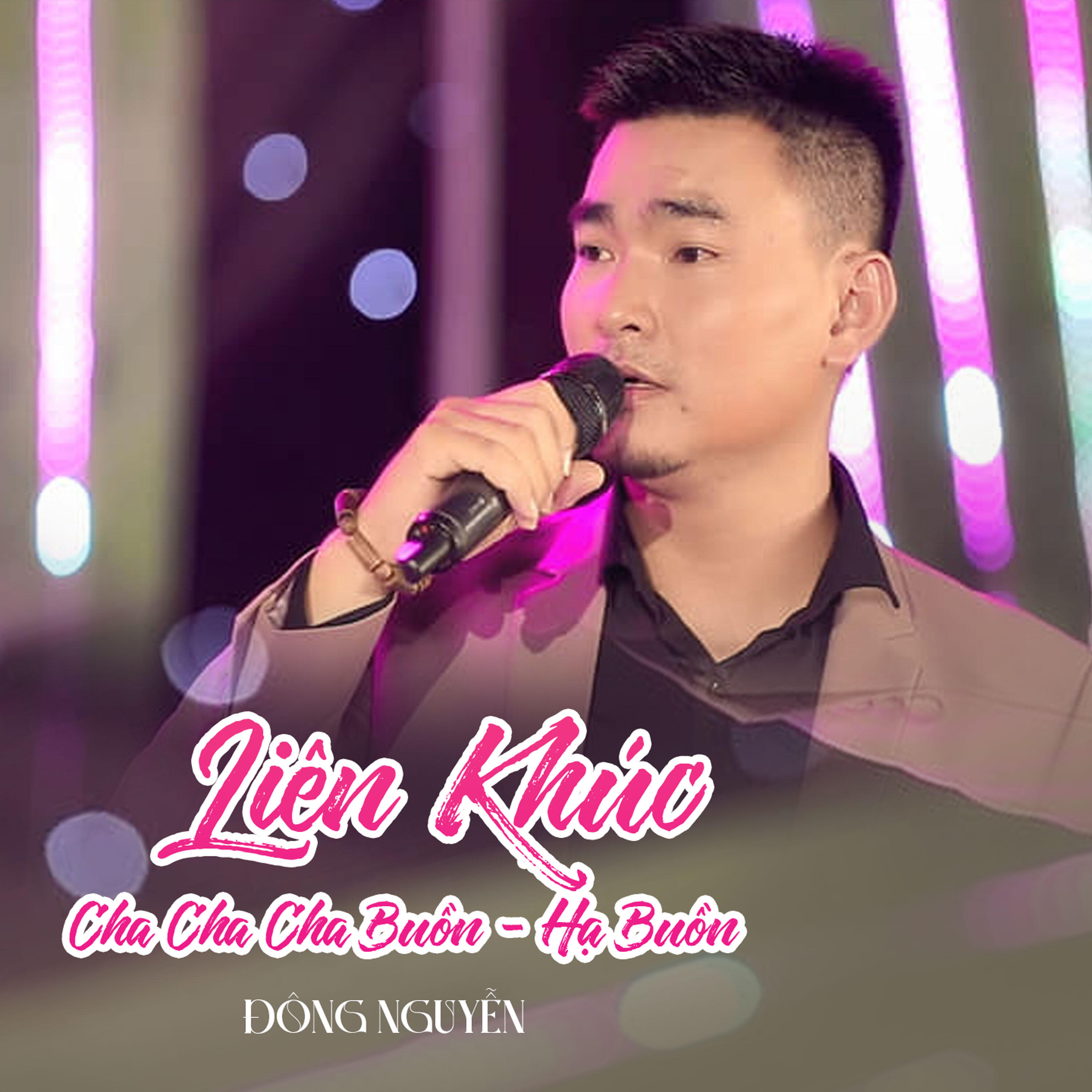Релиз Liên Khúc Cha Cha Cha Buồn - Hạ Buồn