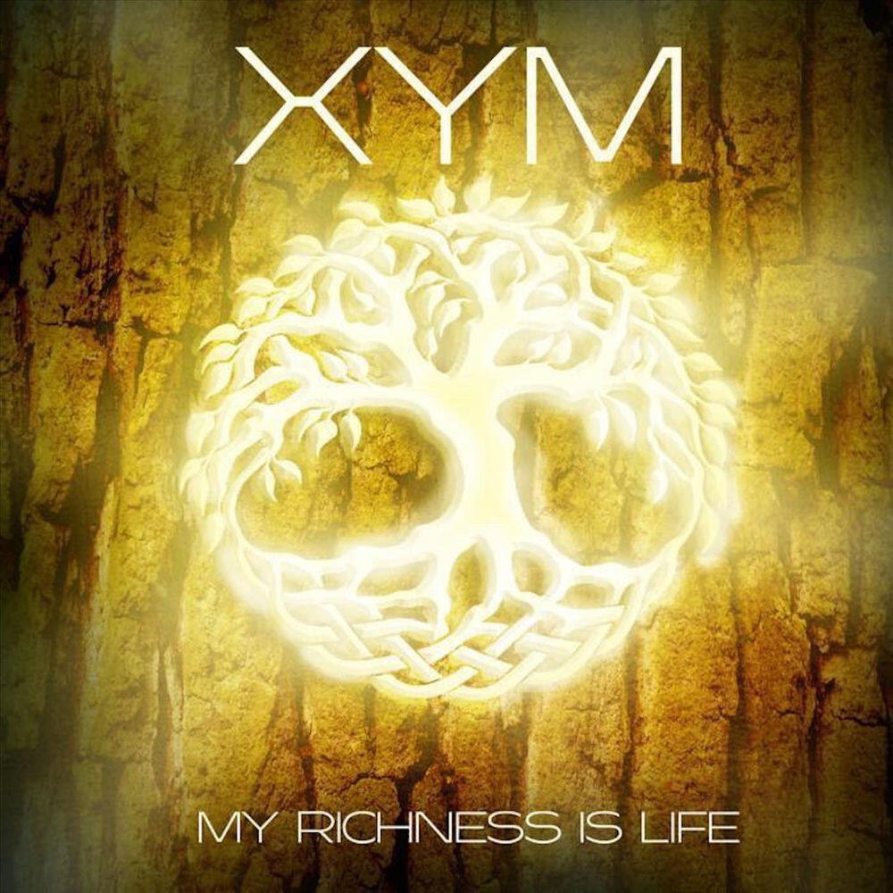 Релиз My Richness Is Life