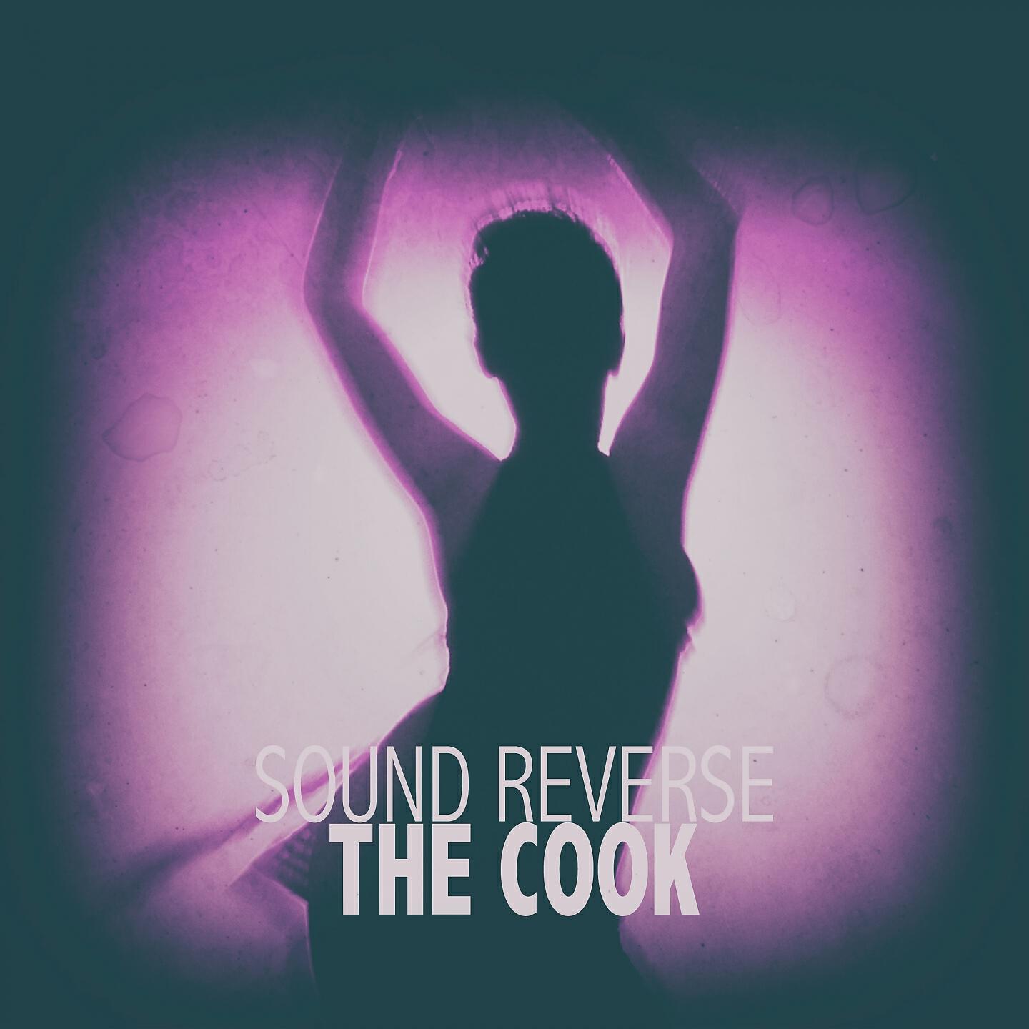 Релиз The Cook