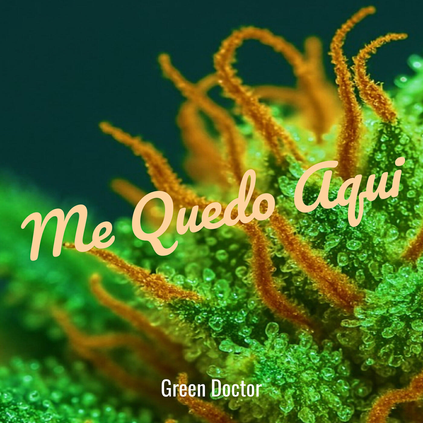 Релиз Me Quedo Aqui