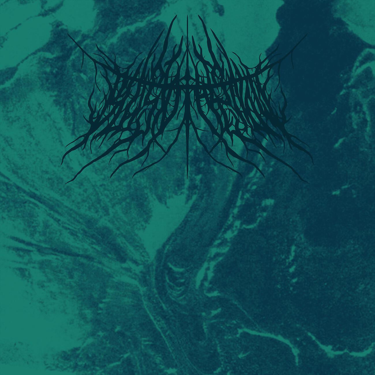 Релиз Blush To The Snow