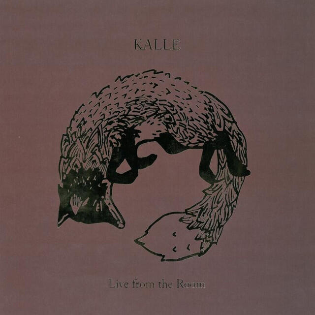 Релиз Live from the Room