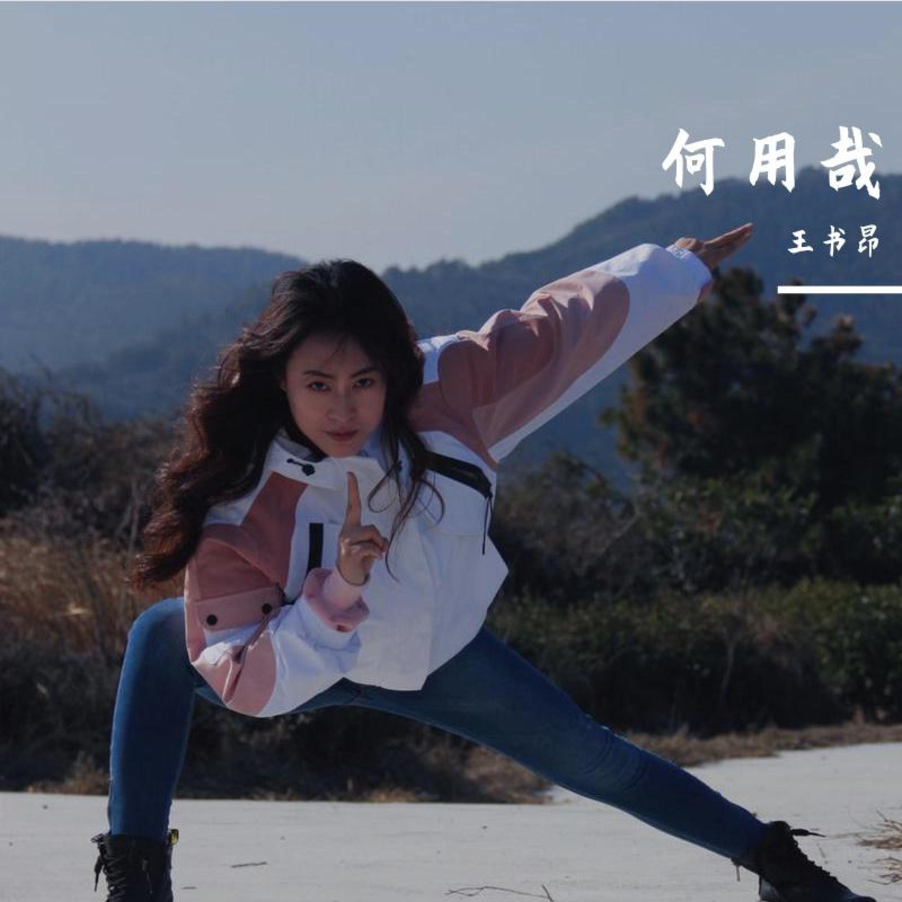 Релиз 何用哉