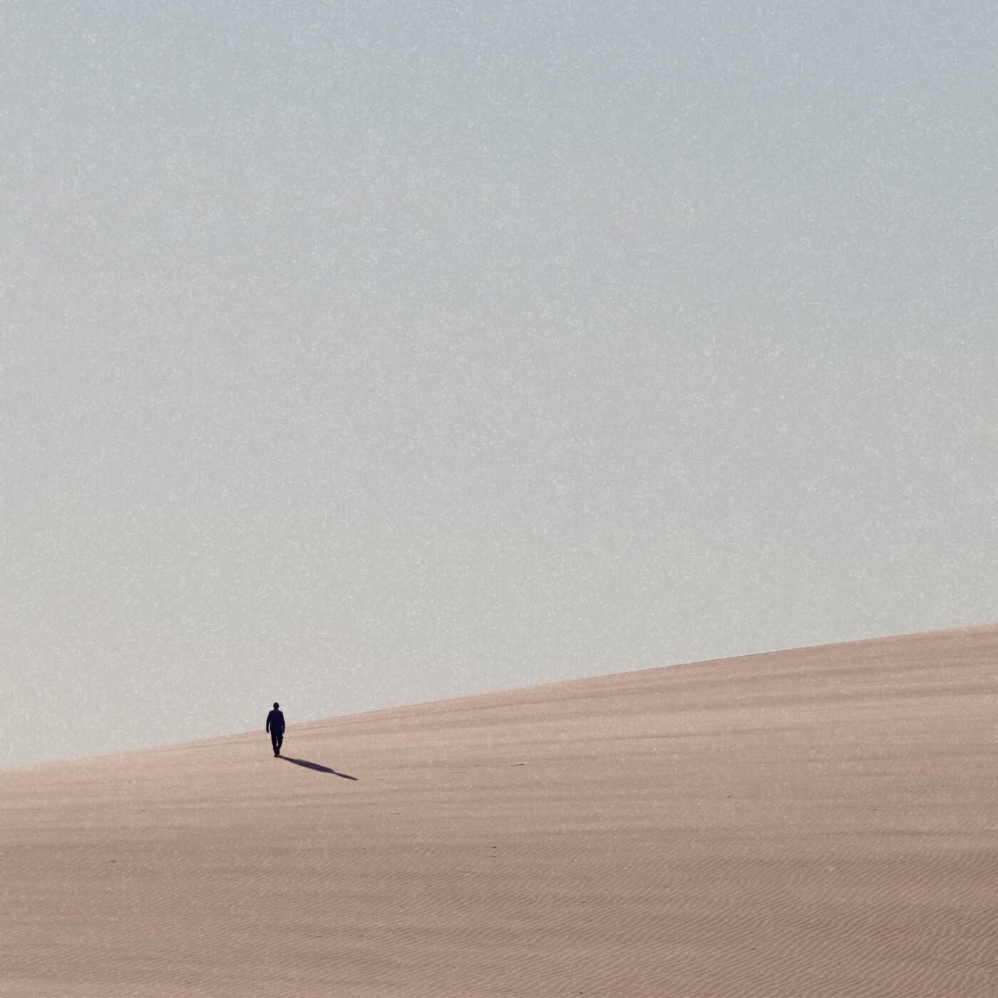 Релиз Shadow of the Colossus