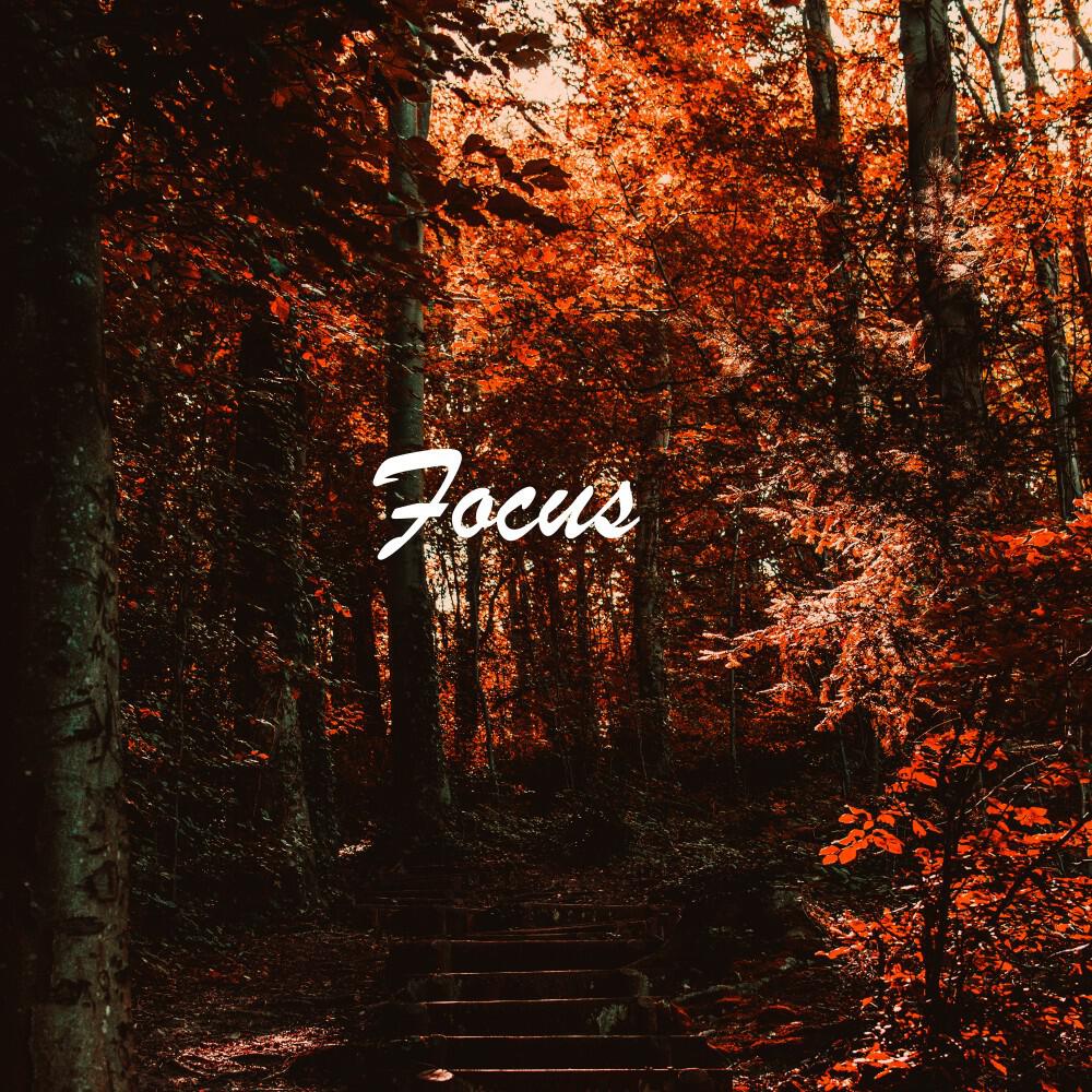 Релиз Focus