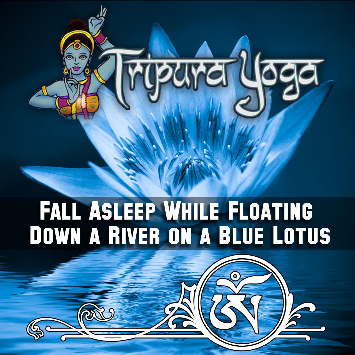 Релиз Fall Asleep While Floating Down a River on a Blue Lotus