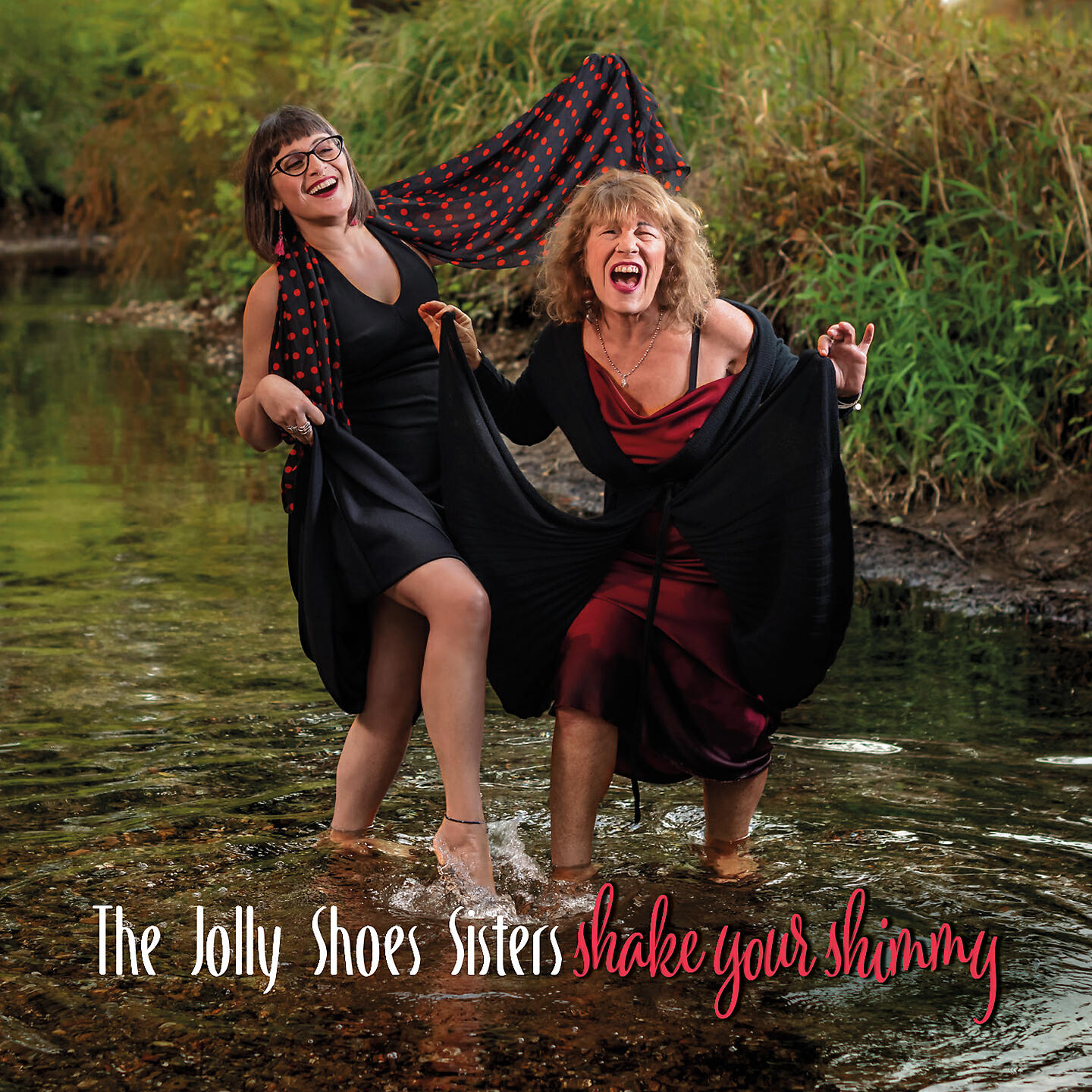 Релиз Shake Your Shimmy
