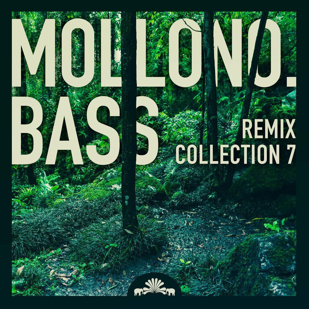 Релиз Eltanin (Mollono.Bass feat. JPattersson Remix - Vocal Version)