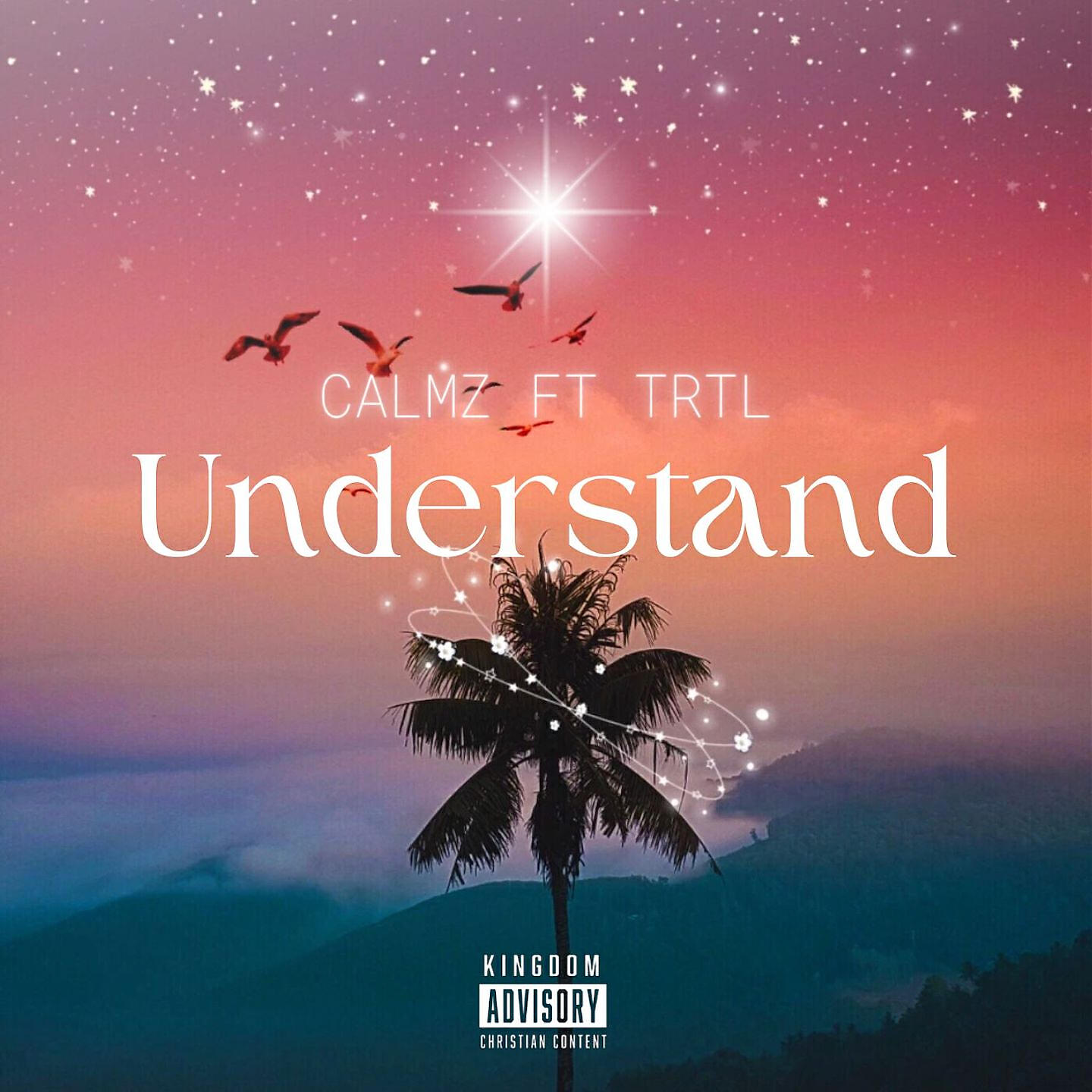 Релиз Understand