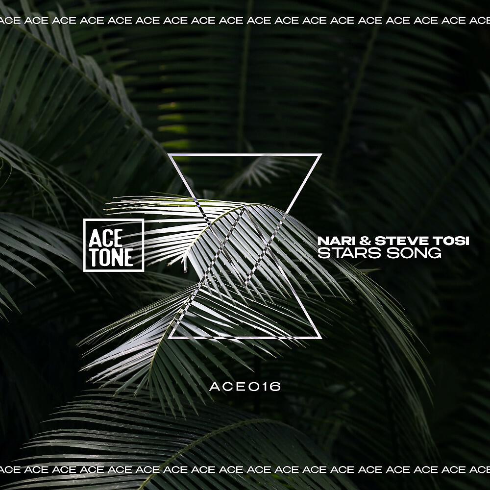 Скачать песню Nari, Steve Tosi - Stars Song (Original Mix) бесплатно в MP3 для Android и iOS