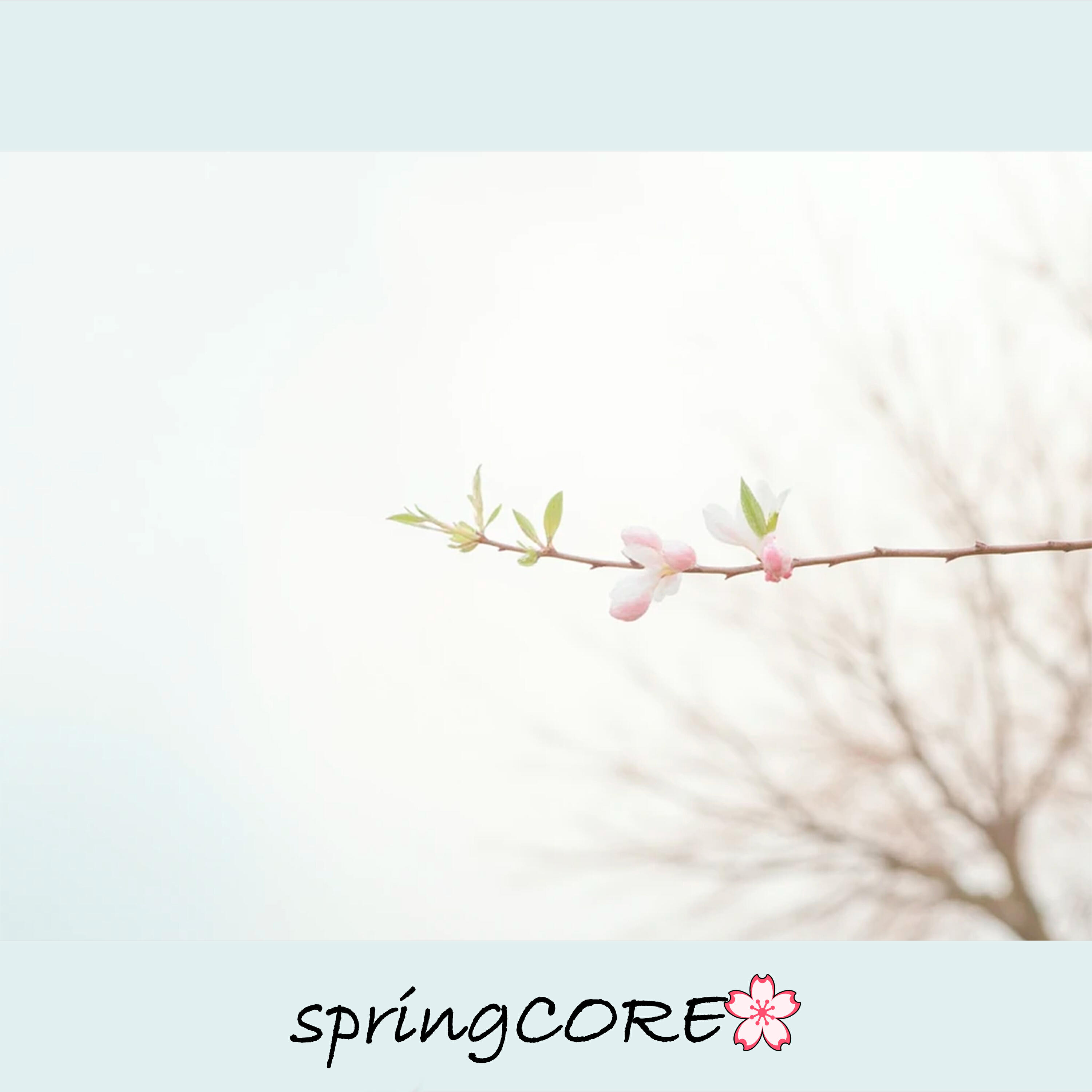 Релиз springCORE