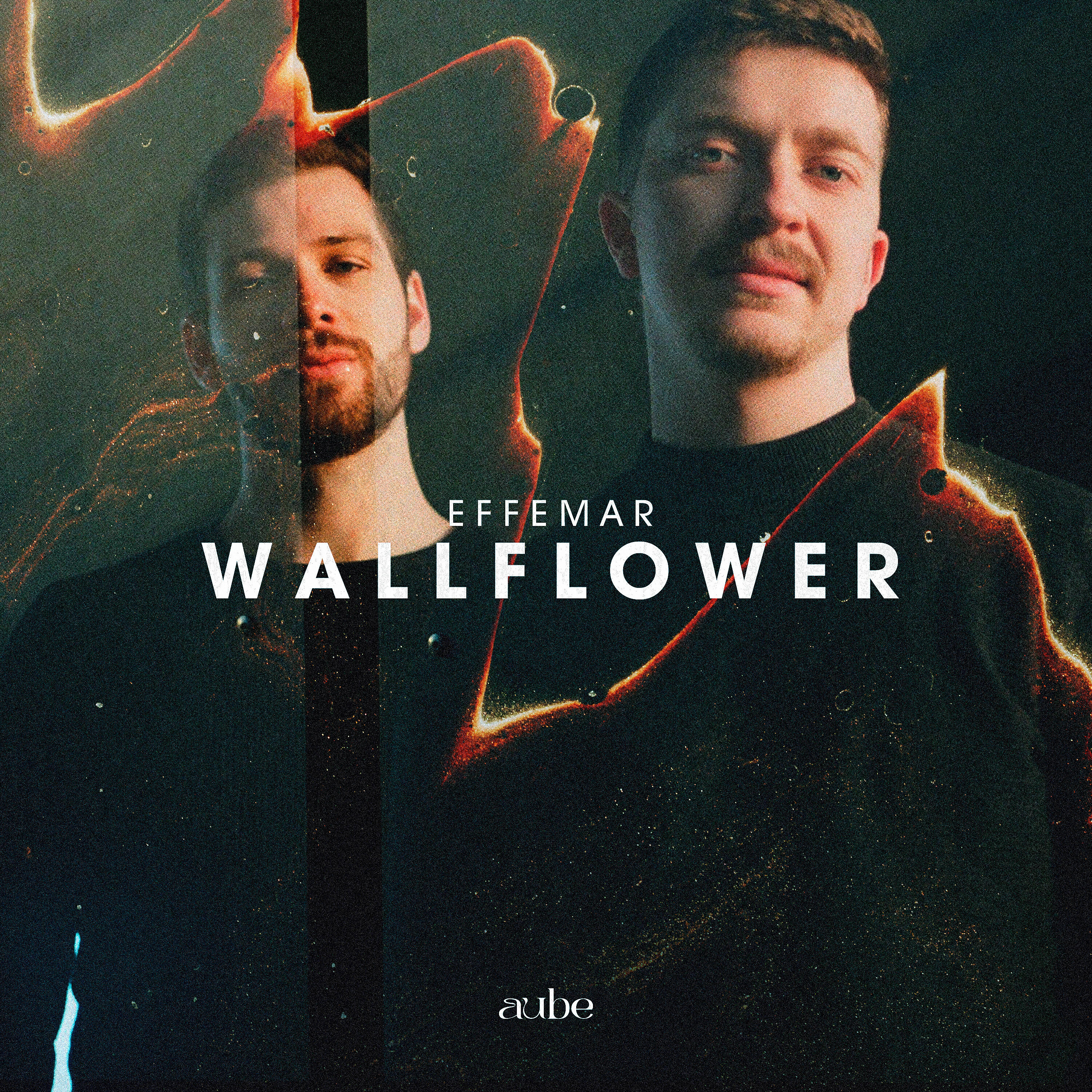 Релиз Wallflower