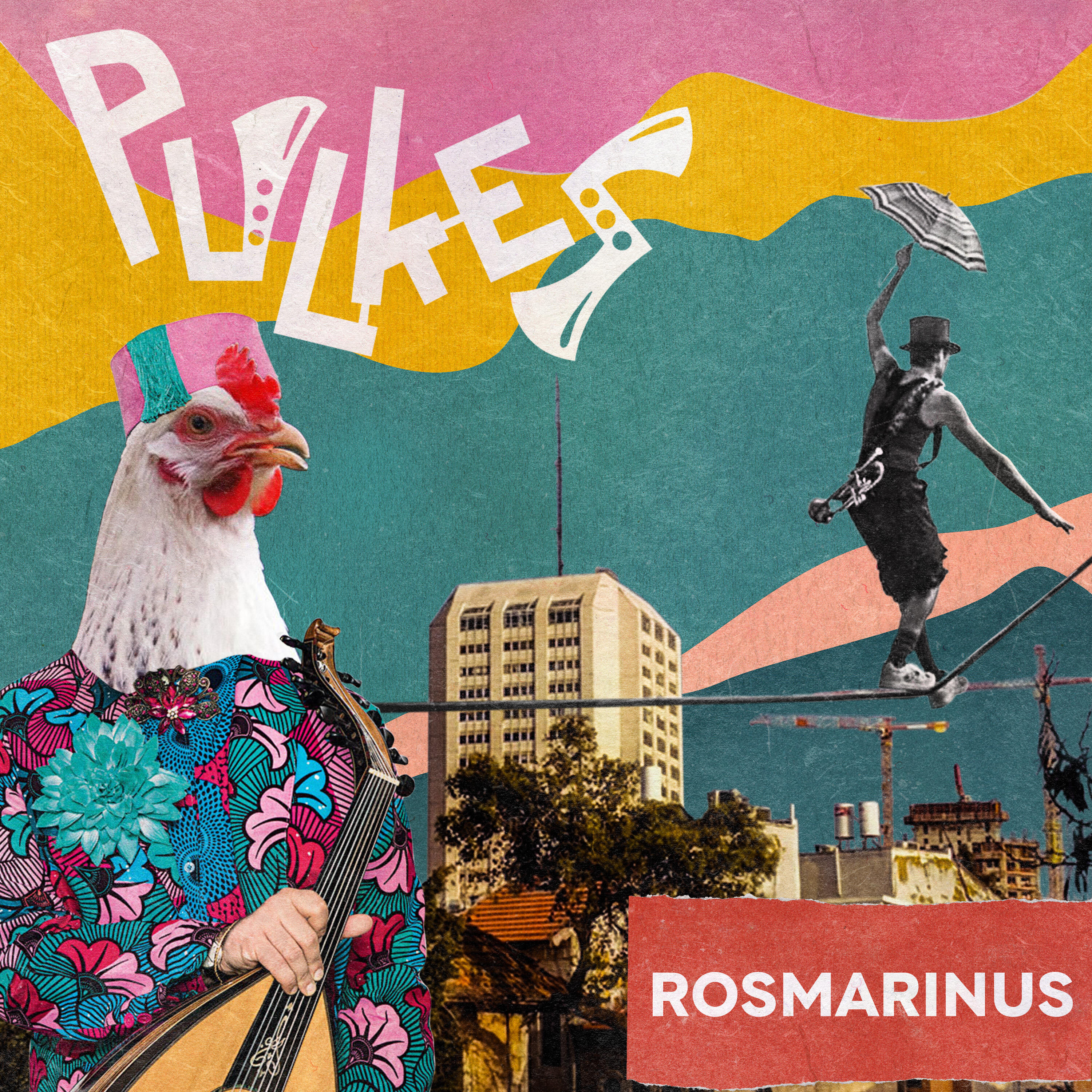 Релиз Rosmarinus