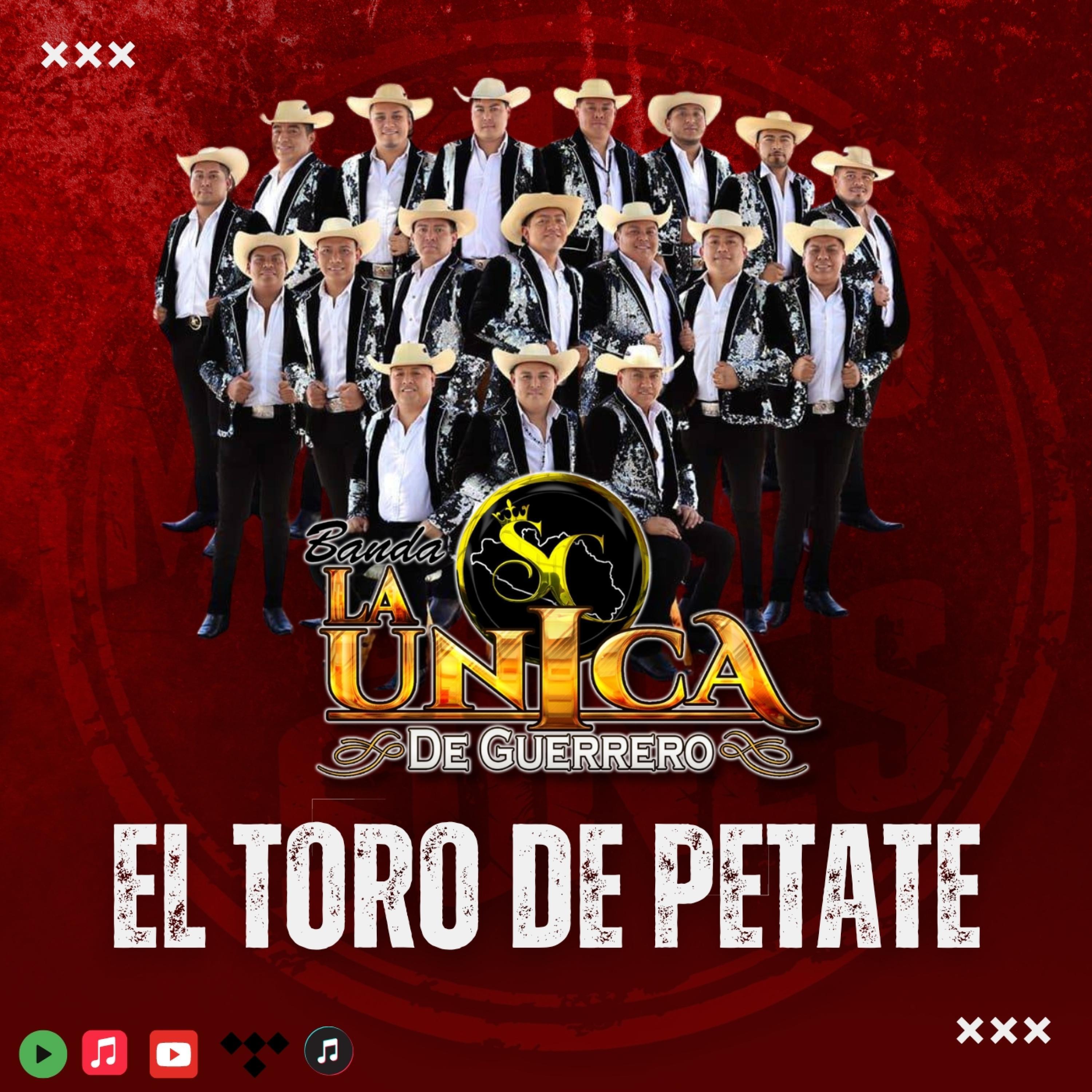 Релиз El Toro de Petate