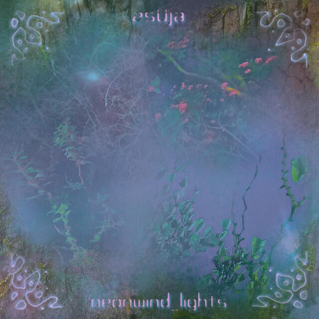 Релиз neonwind lights