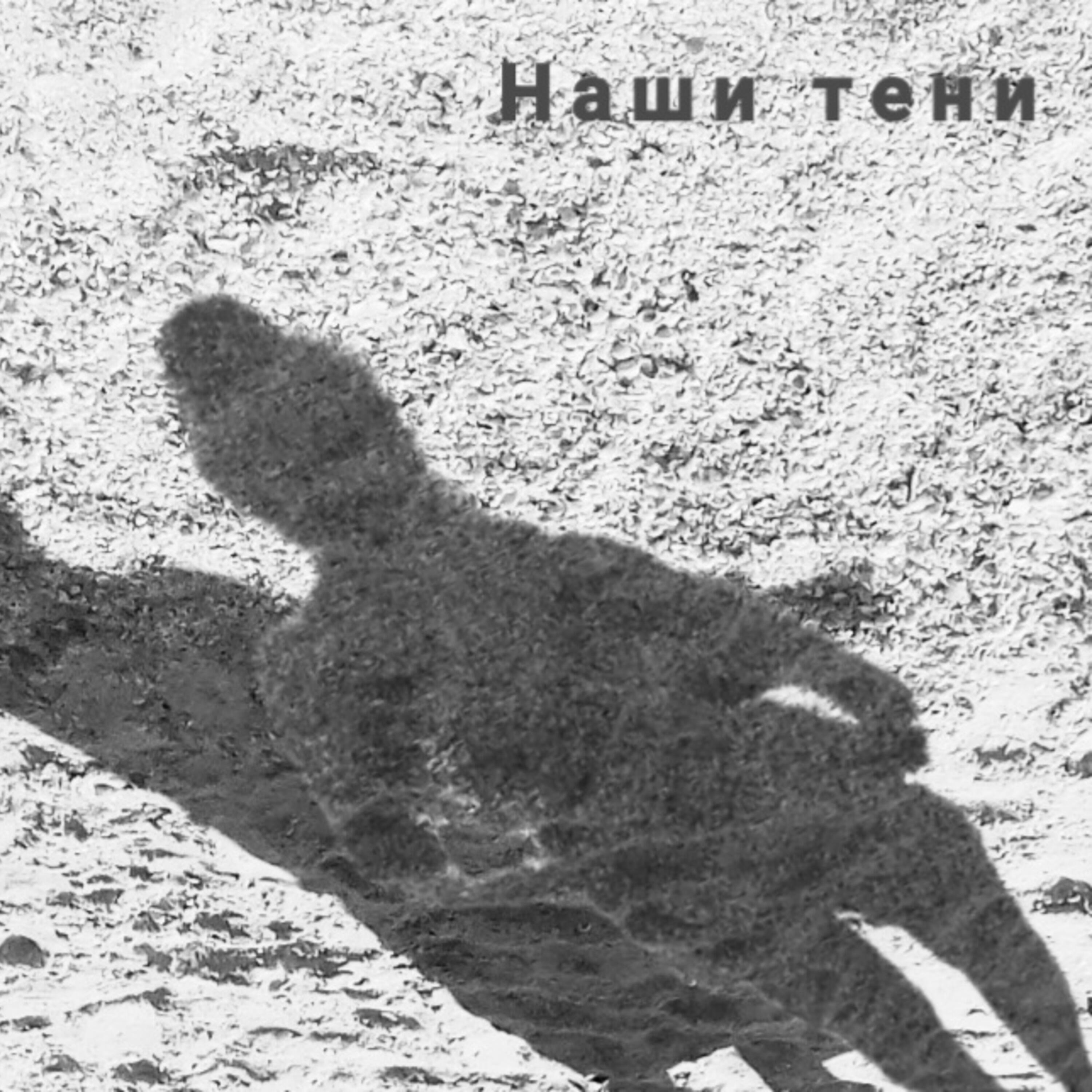 Релиз Наши тени
