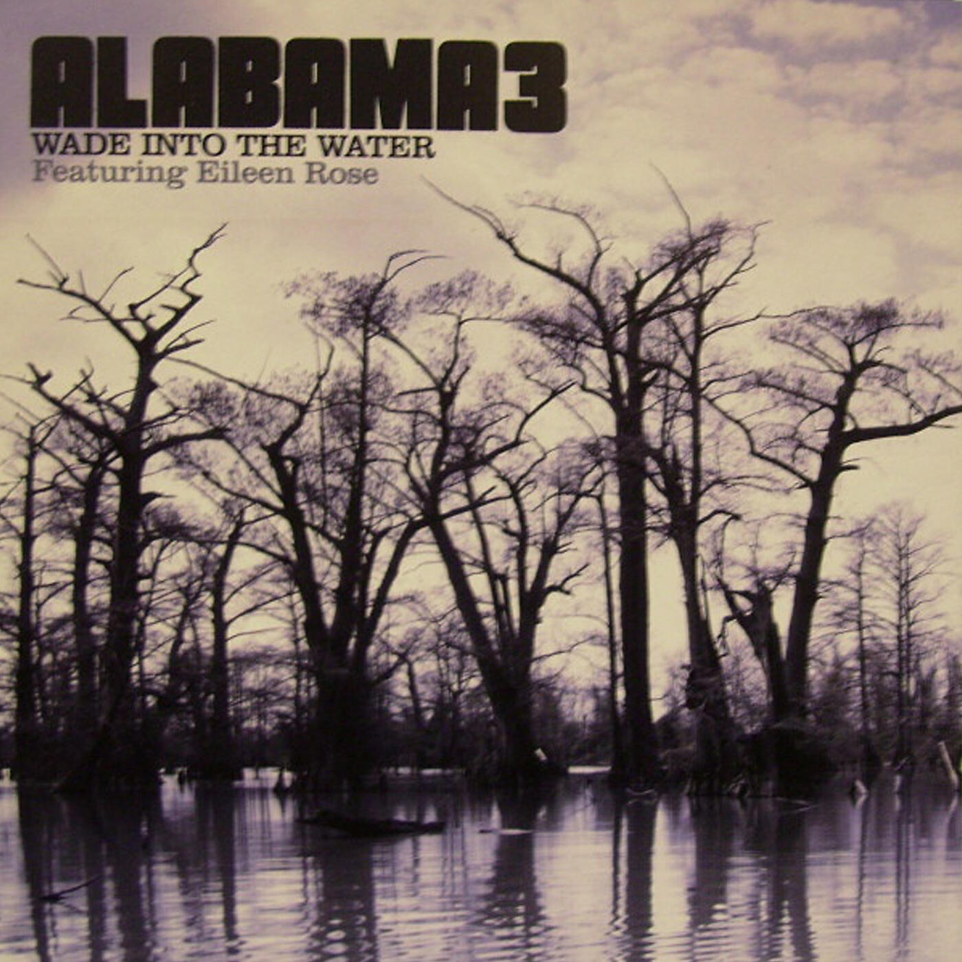 Постер альбома Wade Into The Water