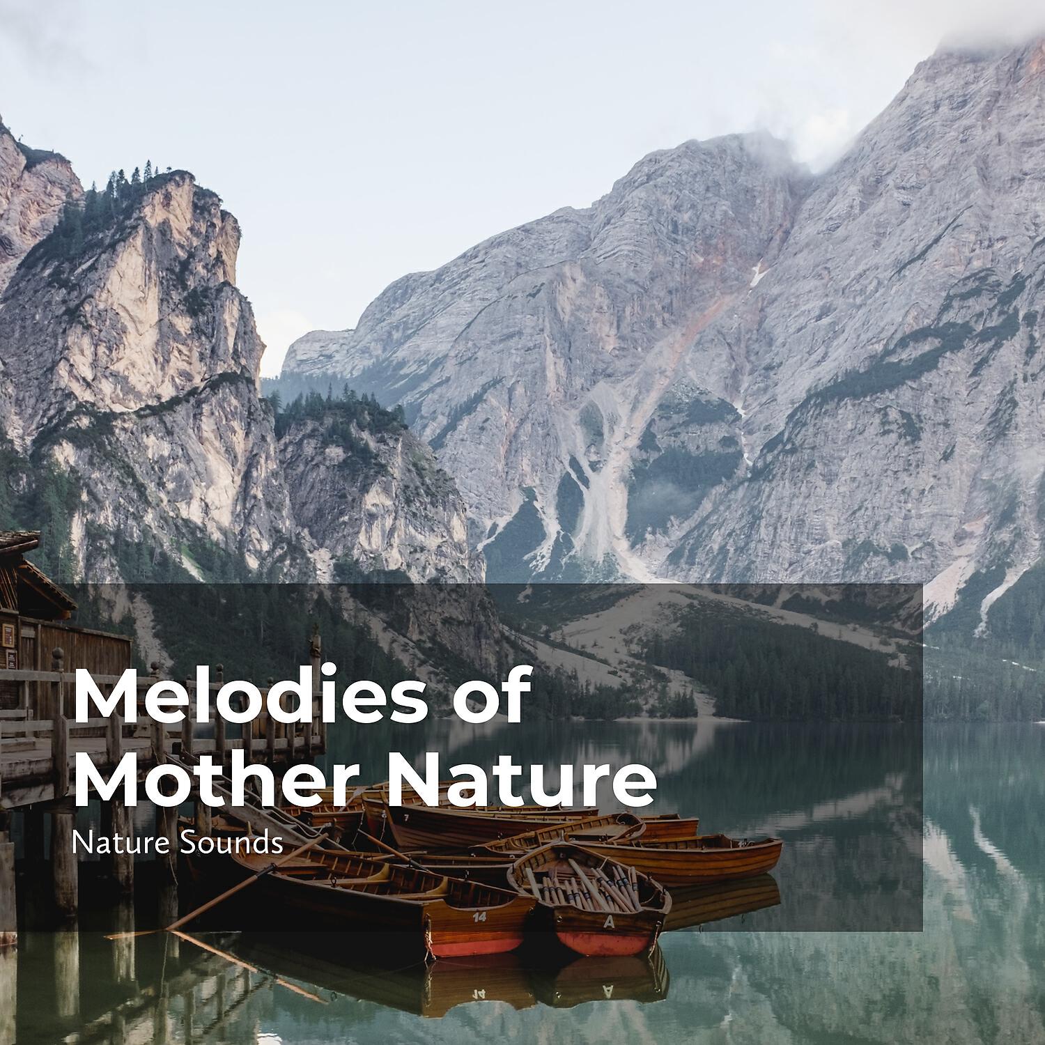 Релиз Melodies of Mother Nature