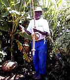 Firmin Viry