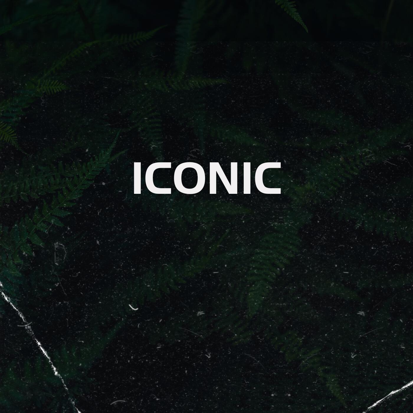 Релиз Iconic