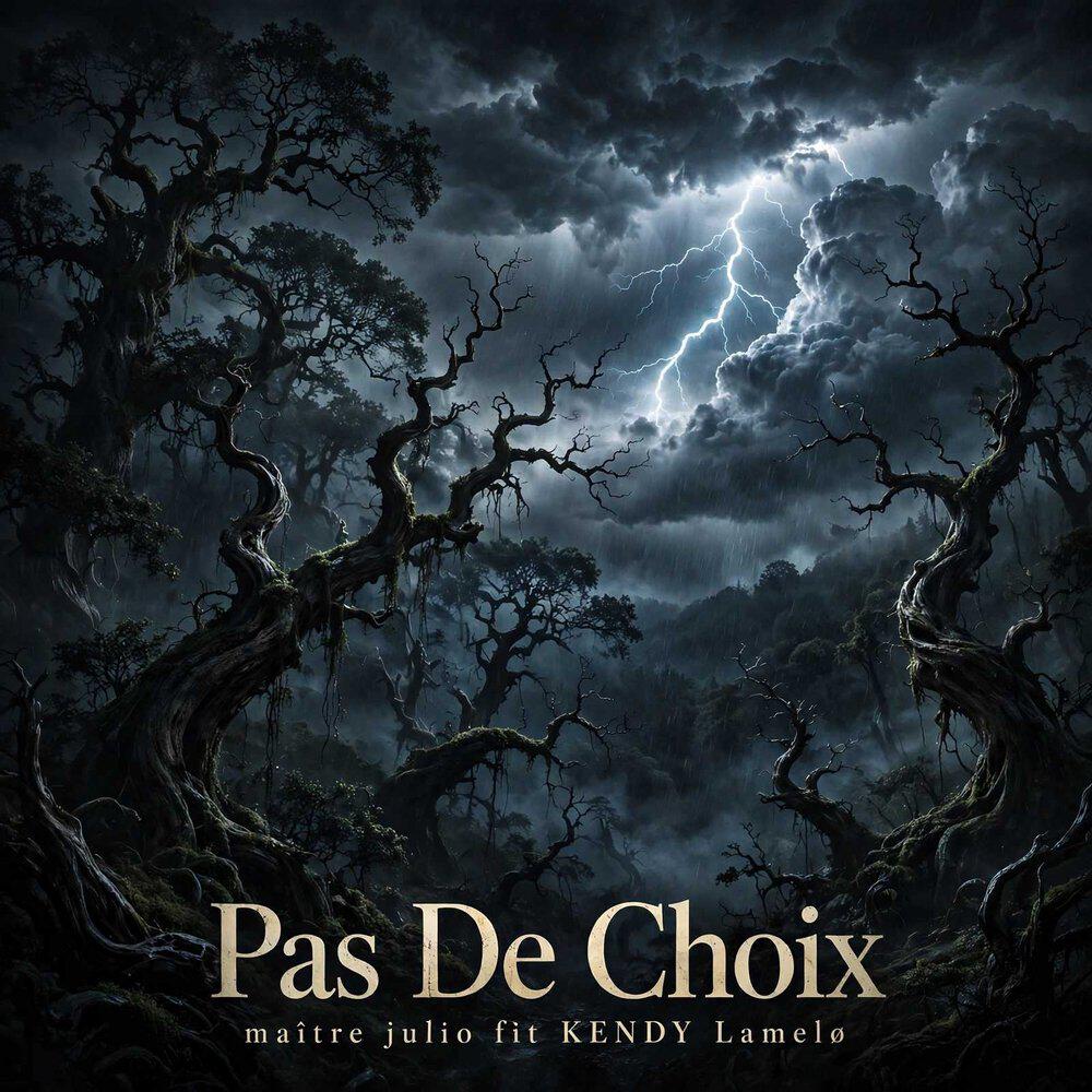 Релиз Pas de choix