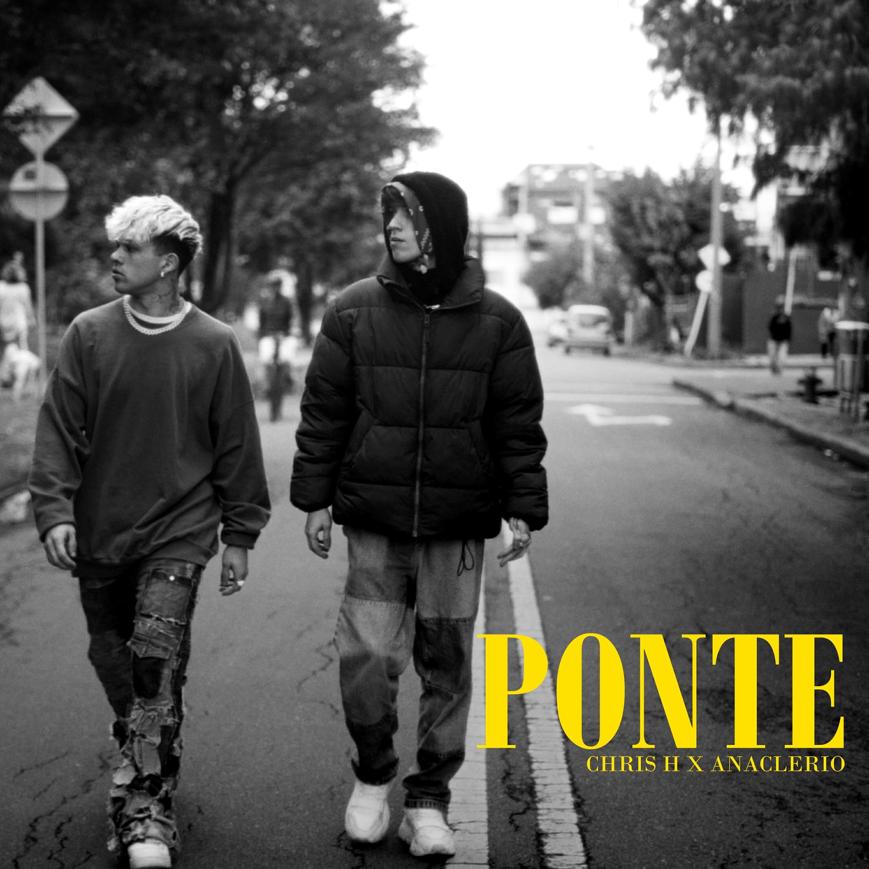 Релиз Ponte