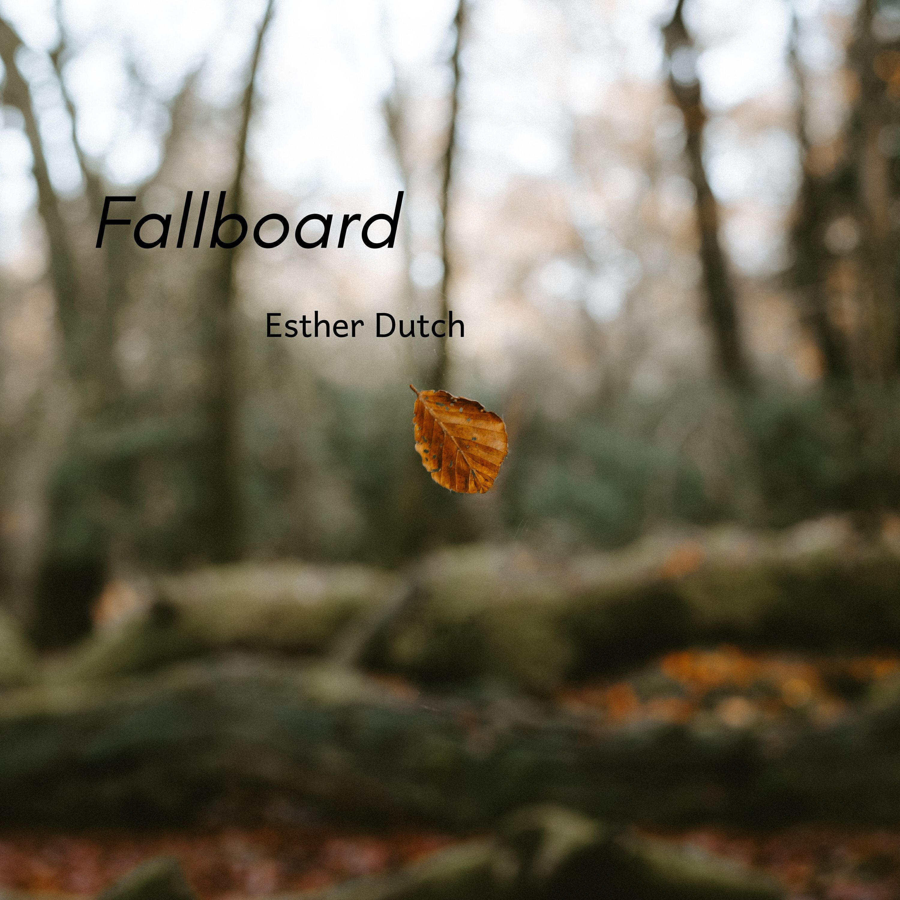 Релиз Fallboard