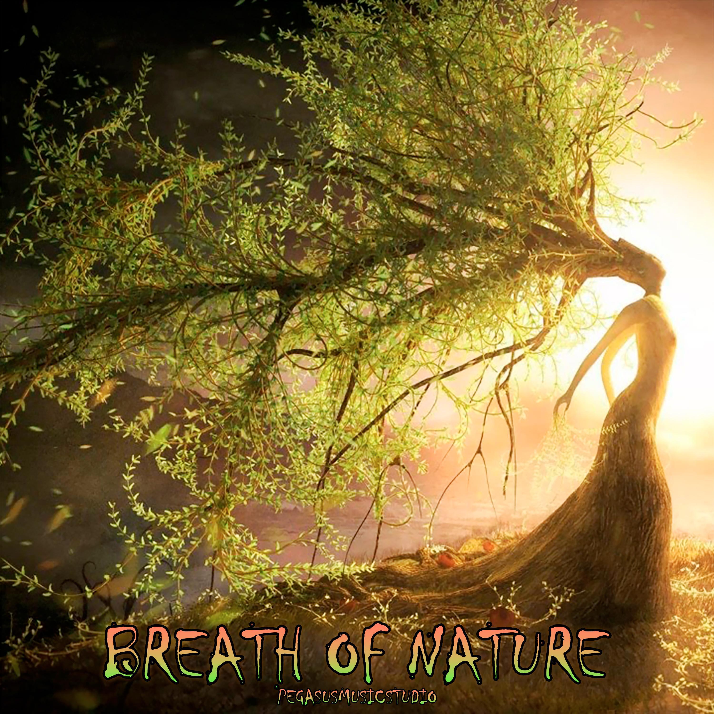 Релиз Breath of Nature