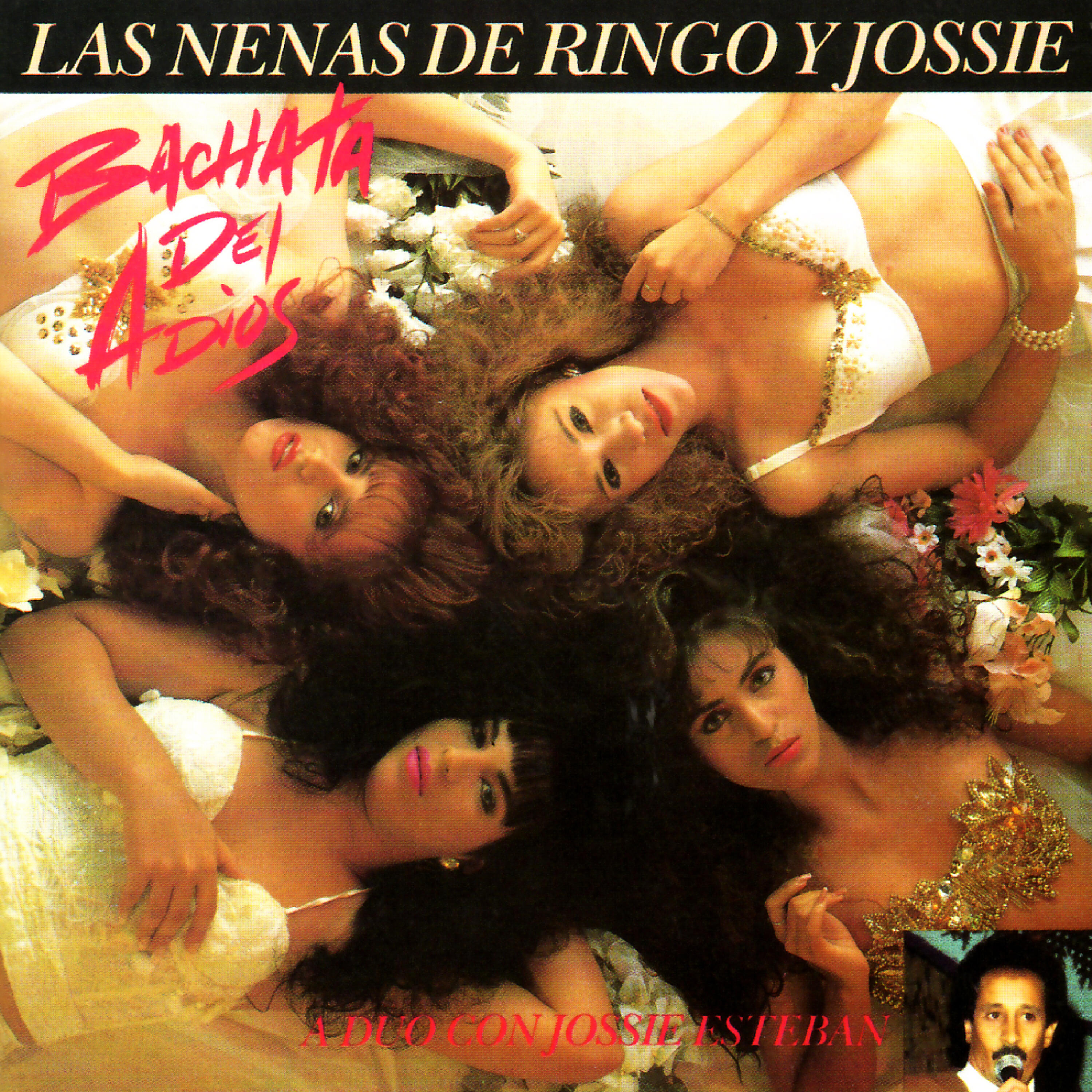 Las Nenas de Ringo