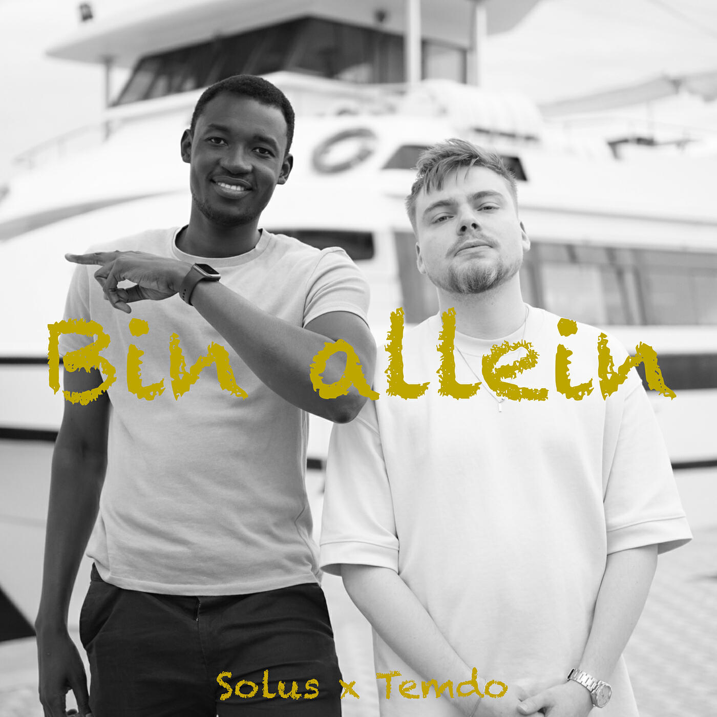 Релиз Bin Allein