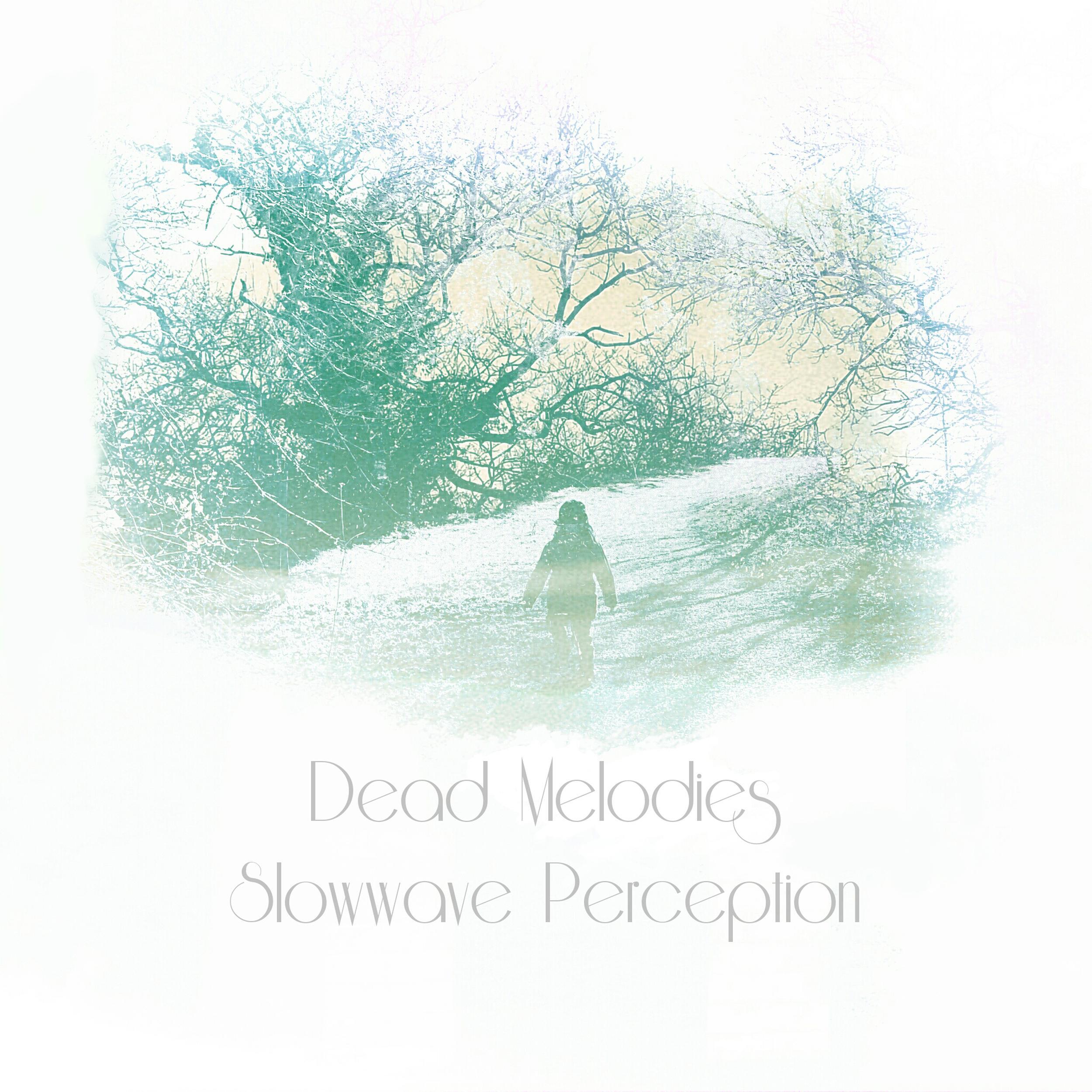 Релиз Slowwave Perception