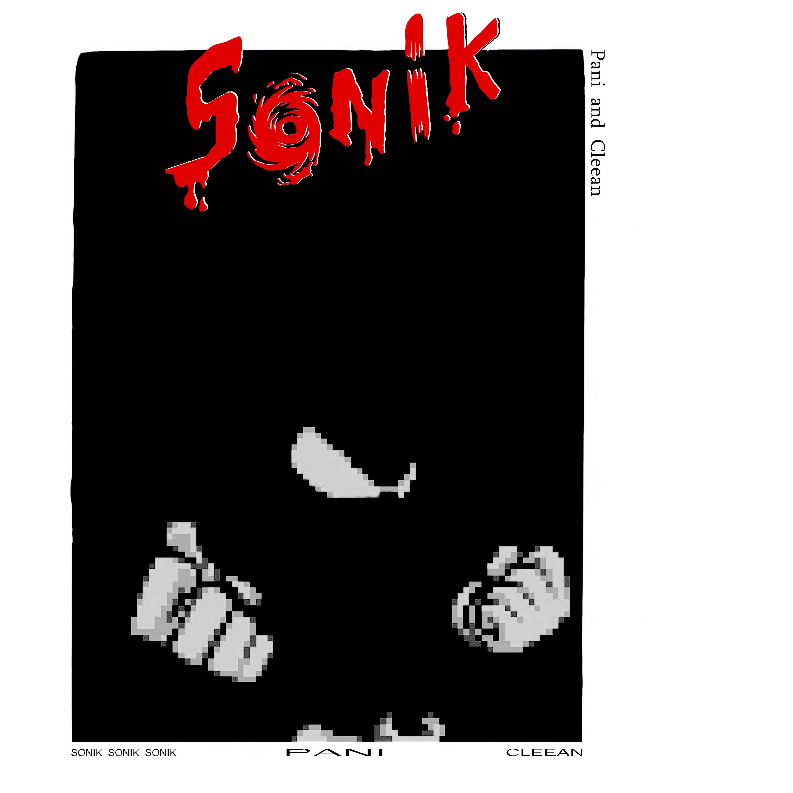 Постер альбома Sonik