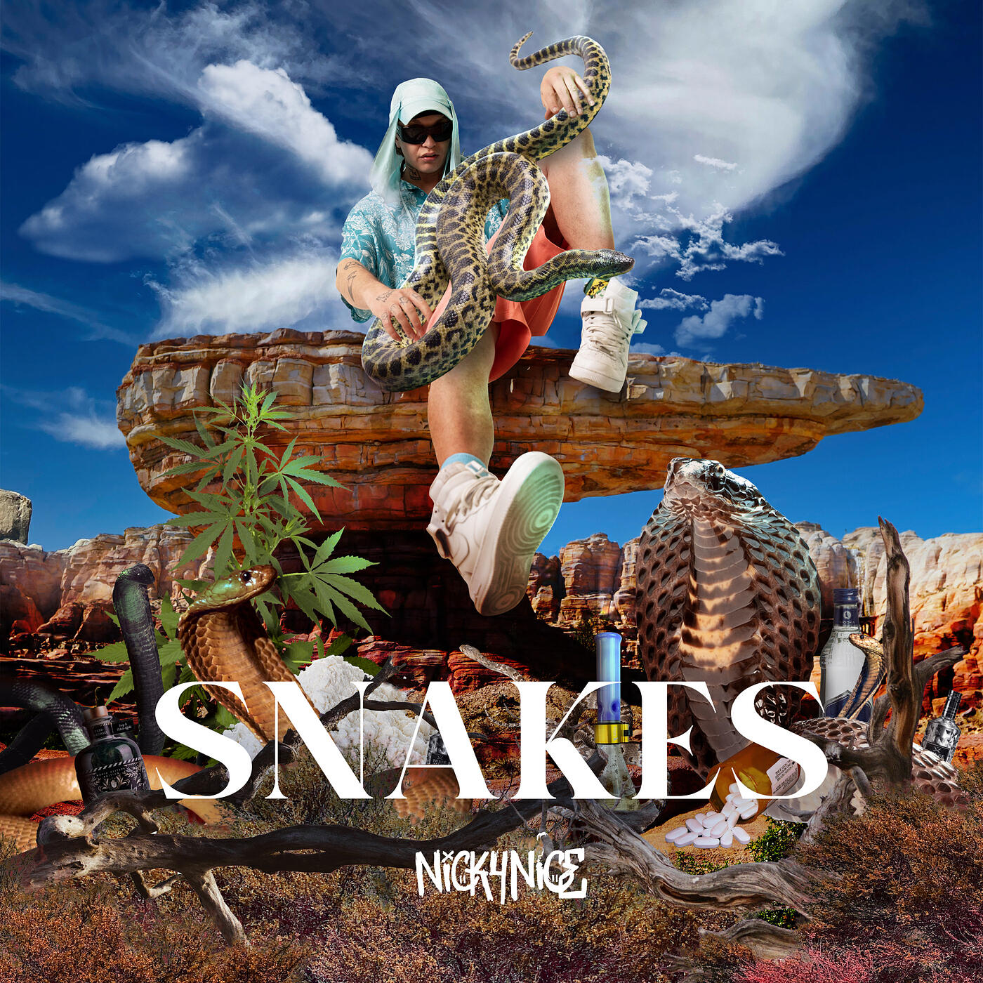 Релиз Snakes