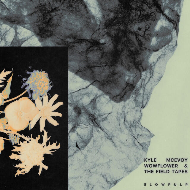 The Field Tapes