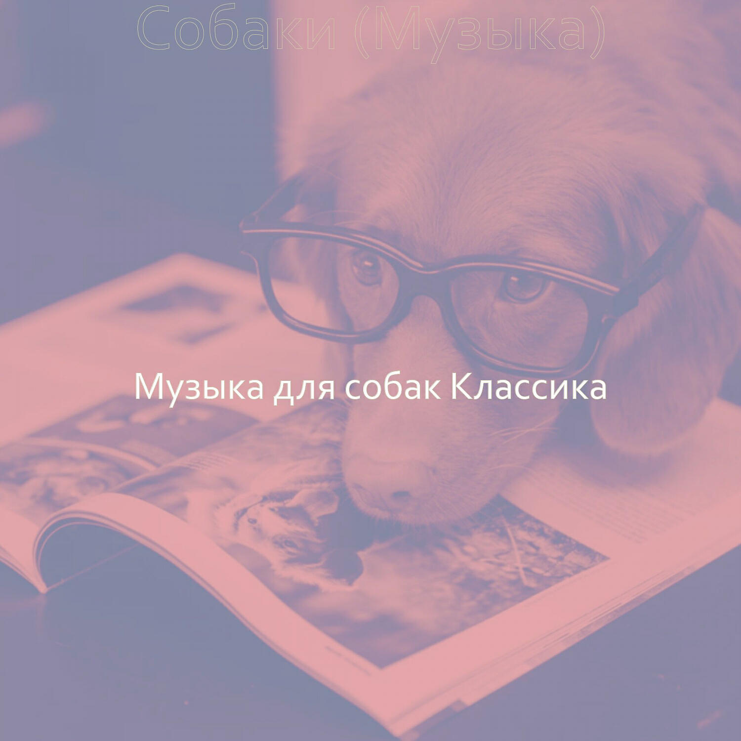 Релиз Собаки (Музыка)
