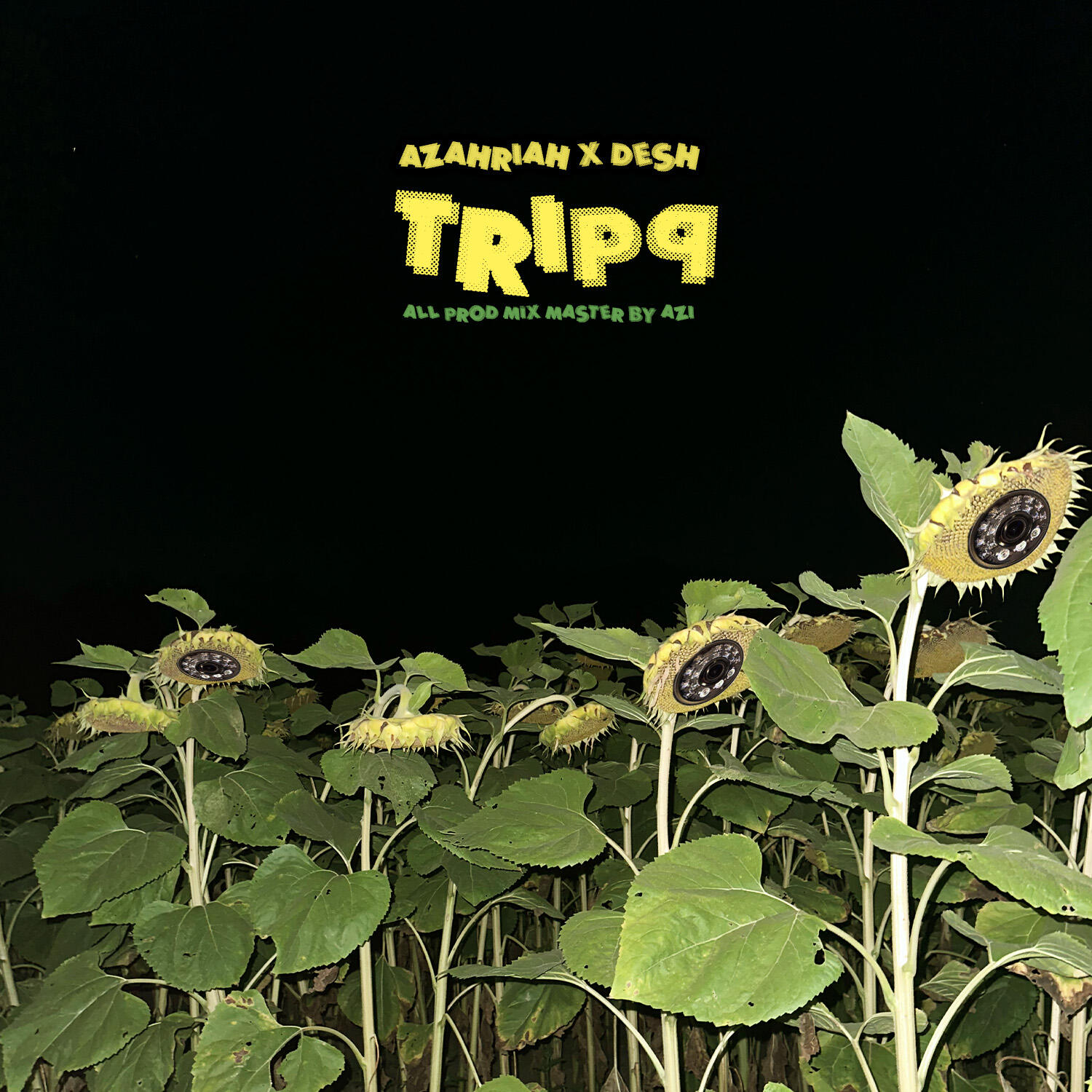 Релиз tripq