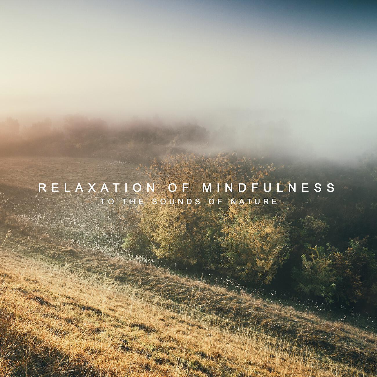 Релиз Relaxation of Mindfulness to the Sounds of Nature (Meditation, Relief, Connection with an Internal Child, Sound of Water, Singing of Birds)