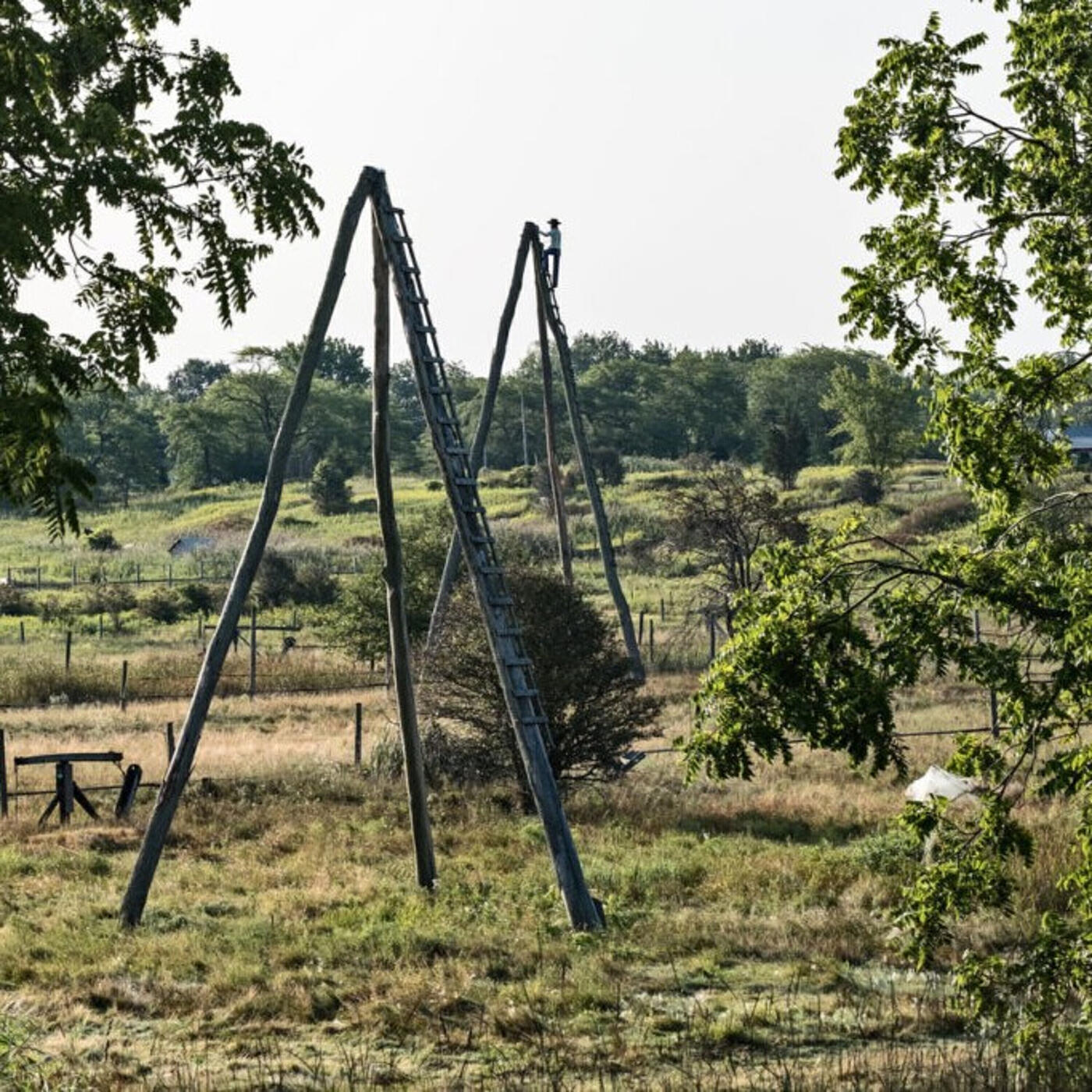 Релиз Oil Springs to Petrolia