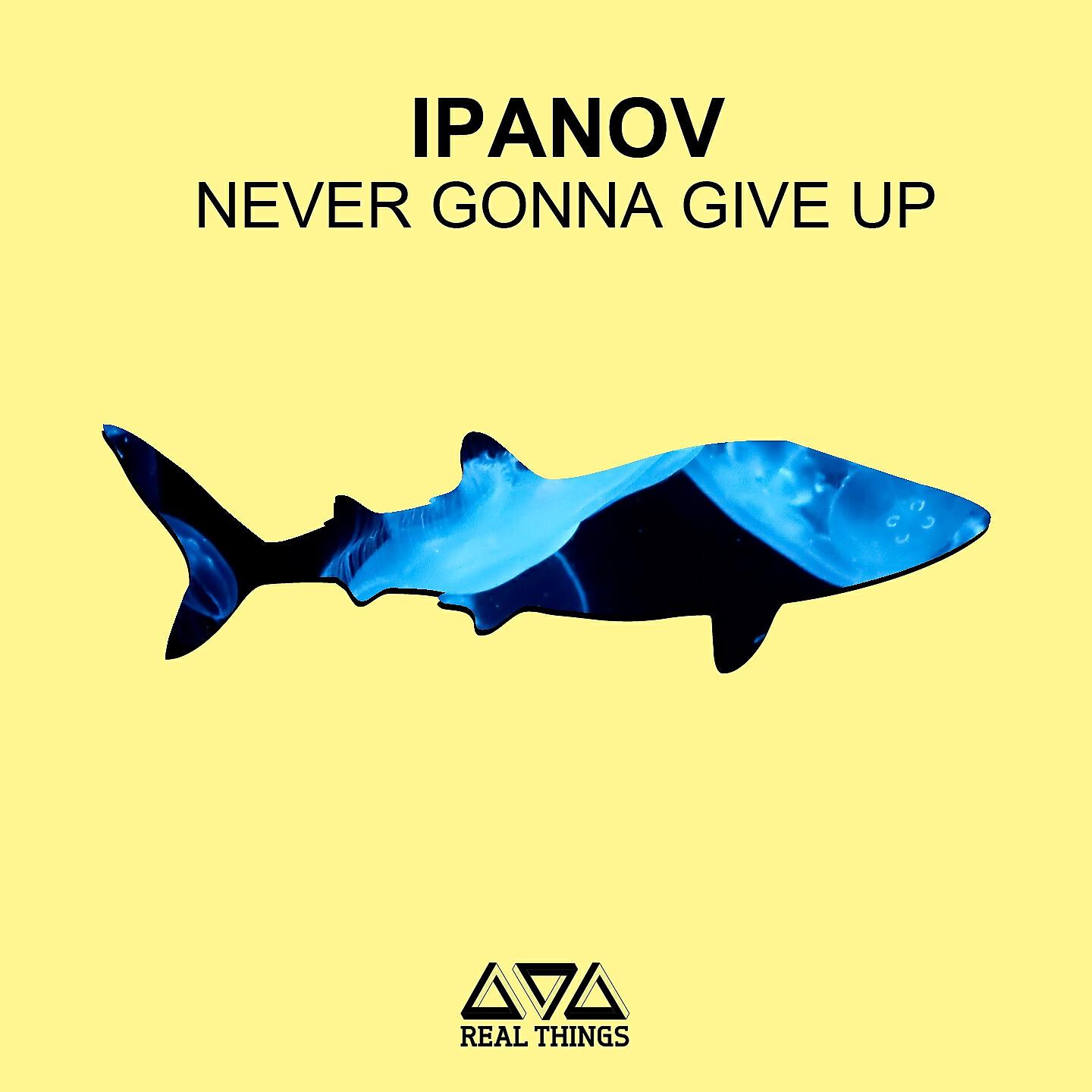 Релиз Never Gonna Give Up