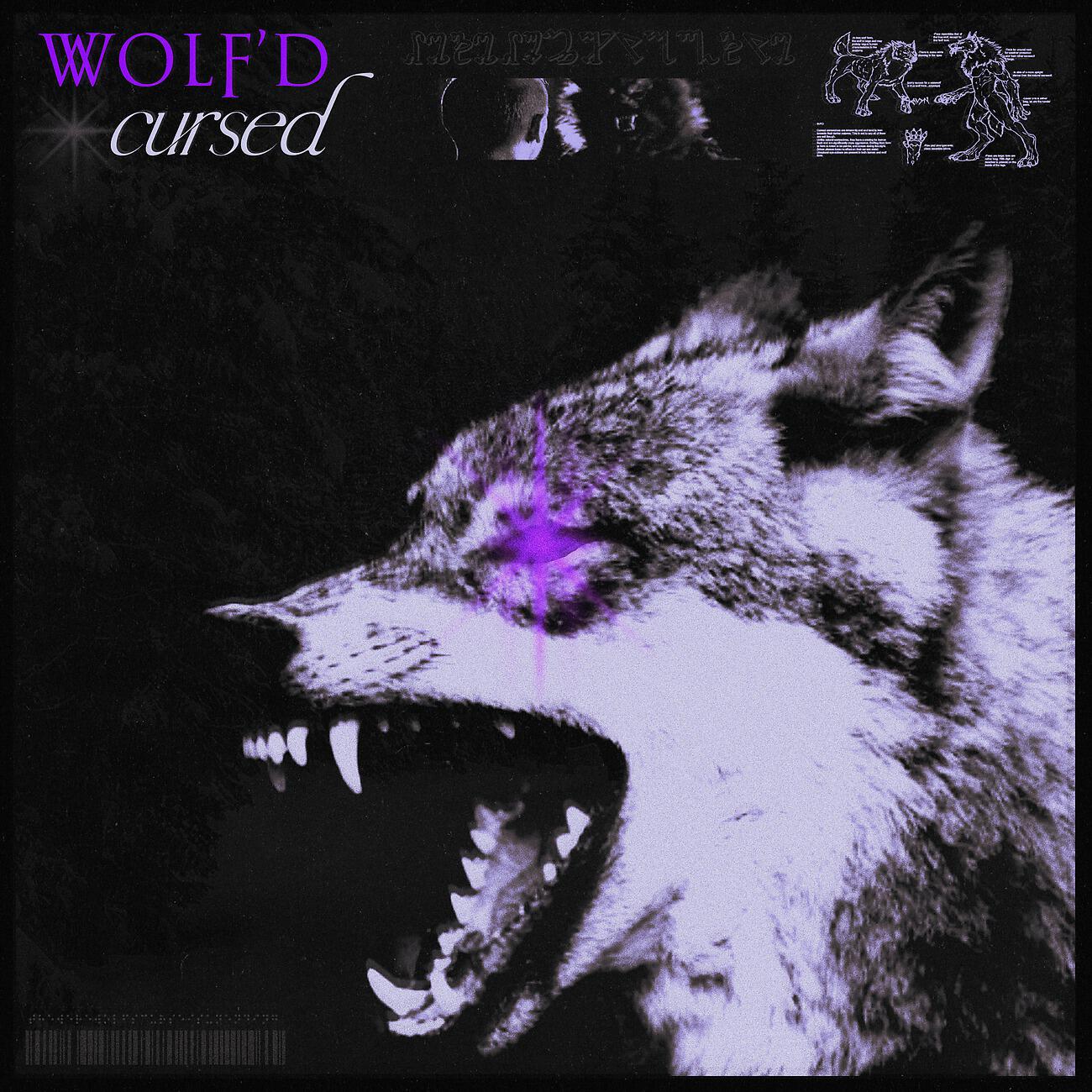 Релиз Cursed