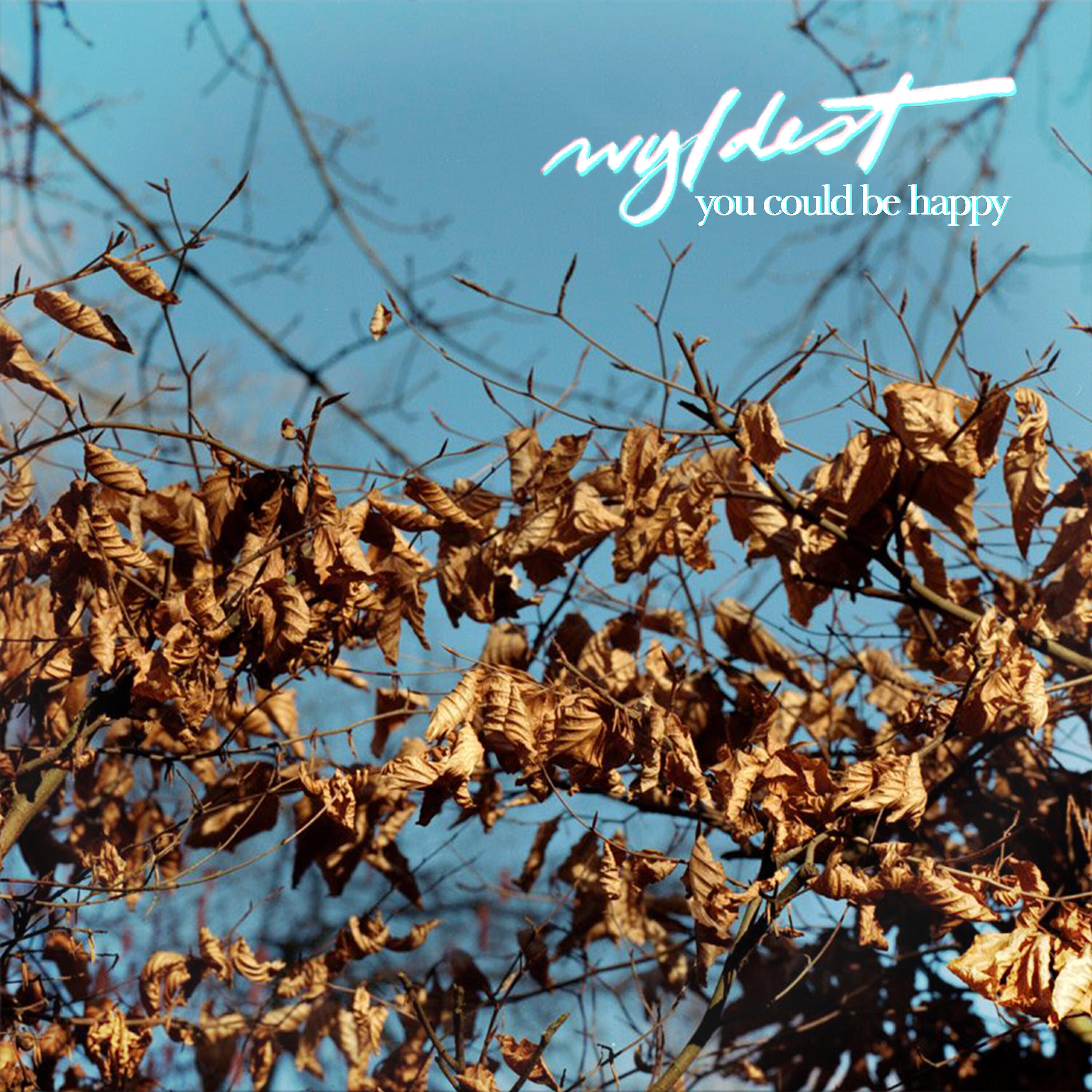 Релиз You Could Be Happy