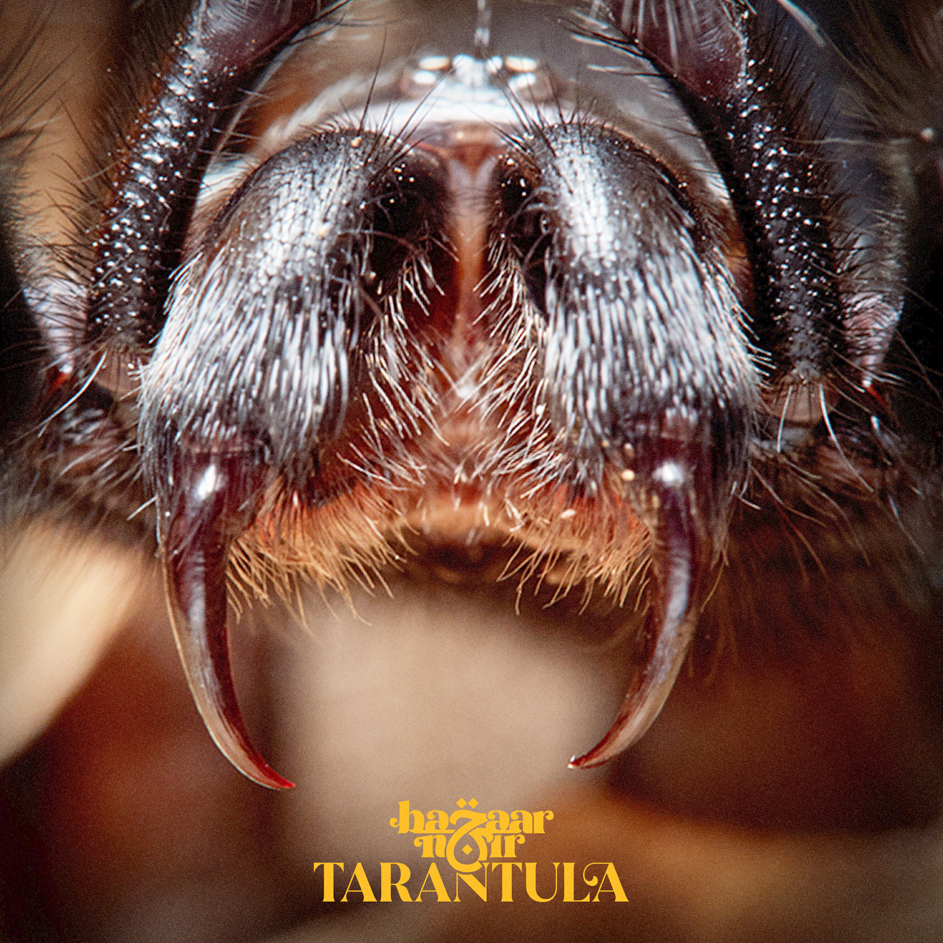 Релиз Tarantula