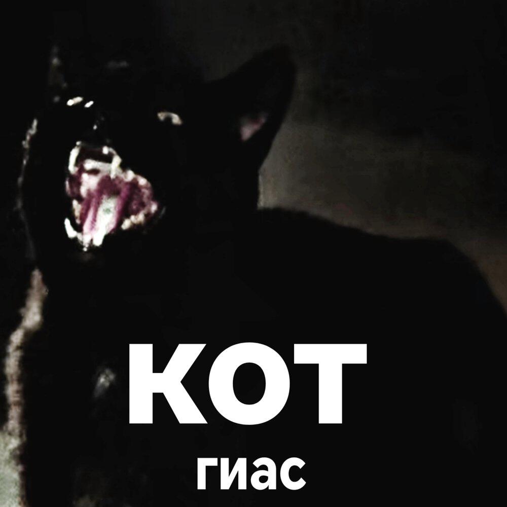 Релиз Кот