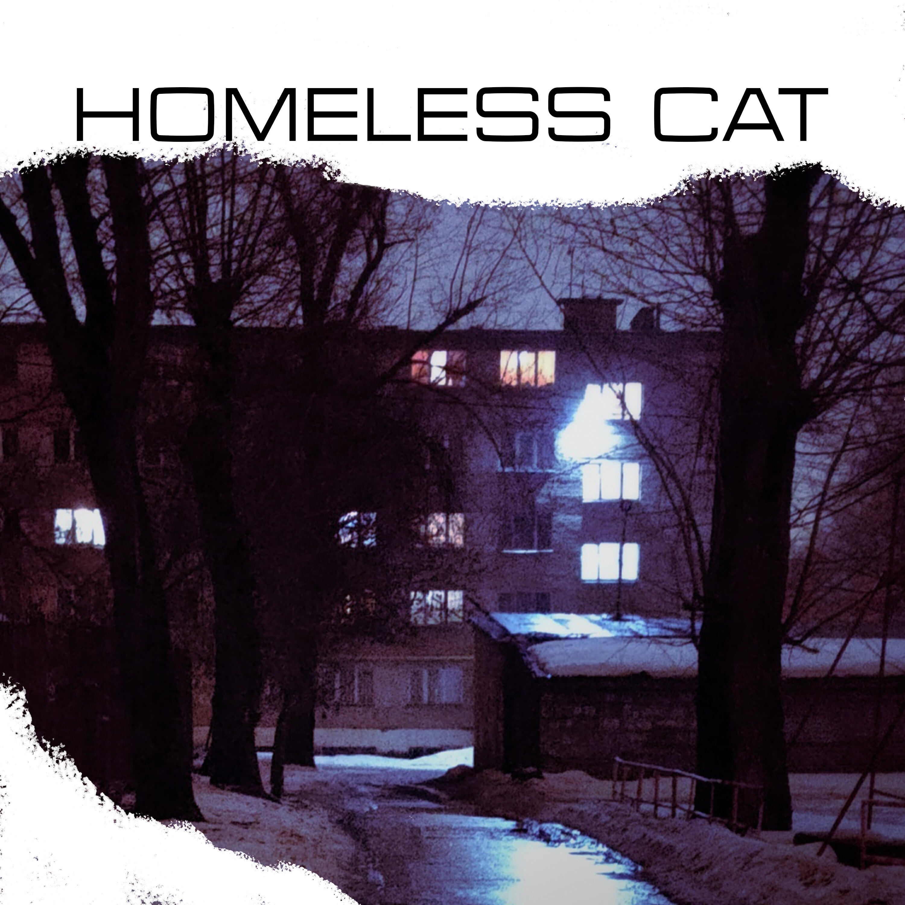 Постер альбома Homless cat