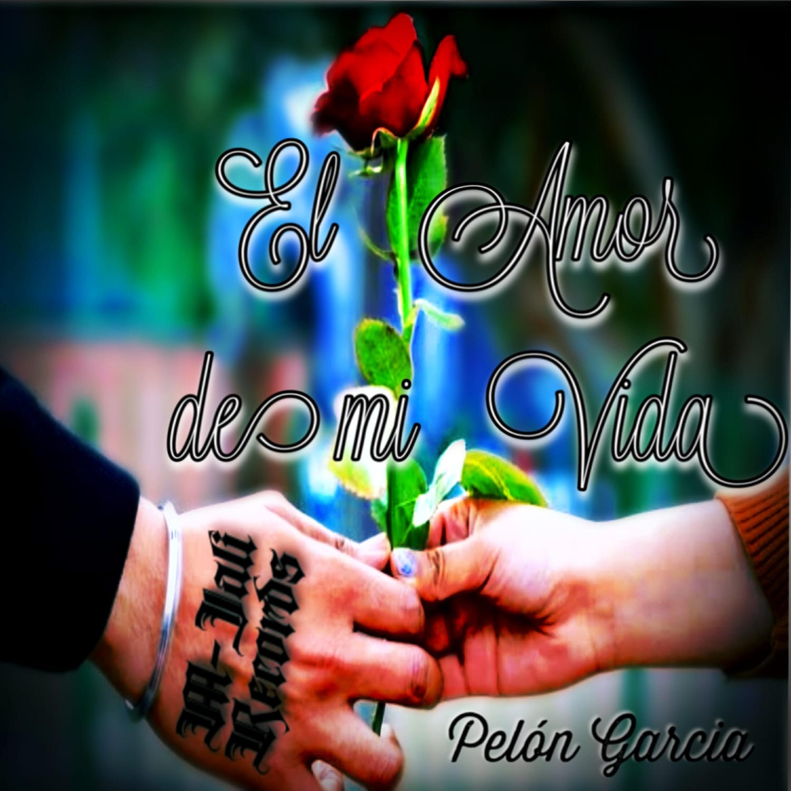Релиз El Amor de Mi Vida