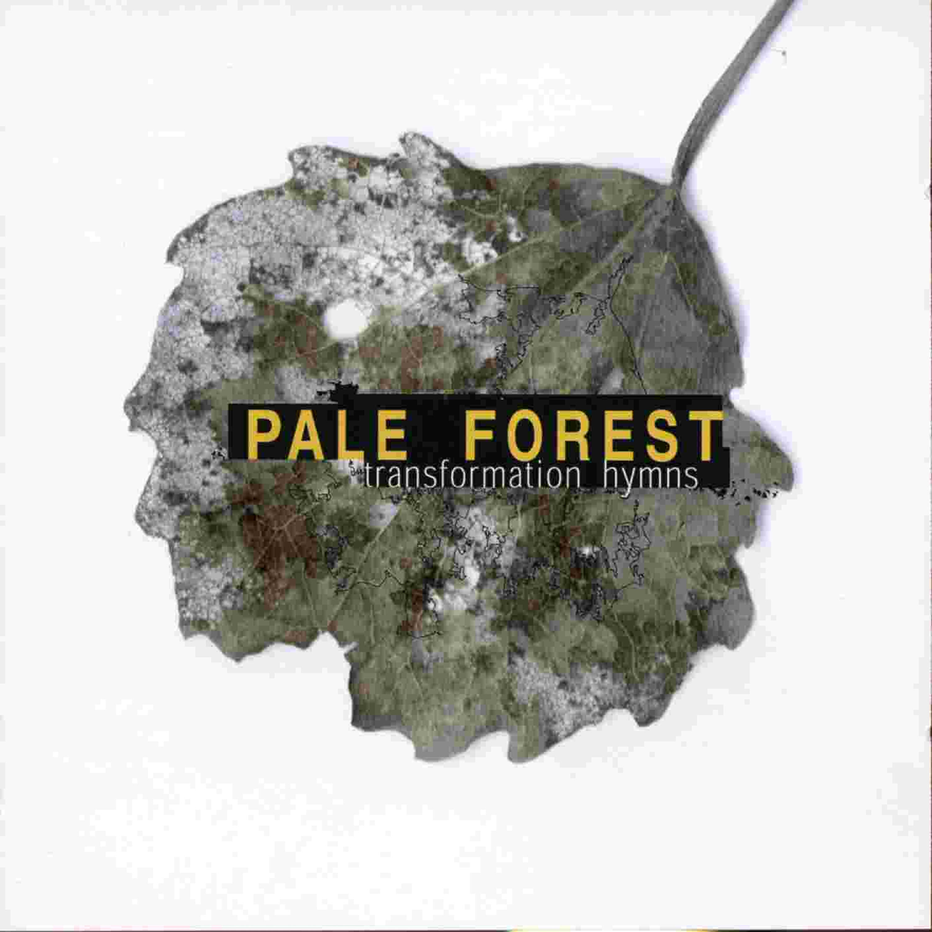 Релиз Transformation Hymns