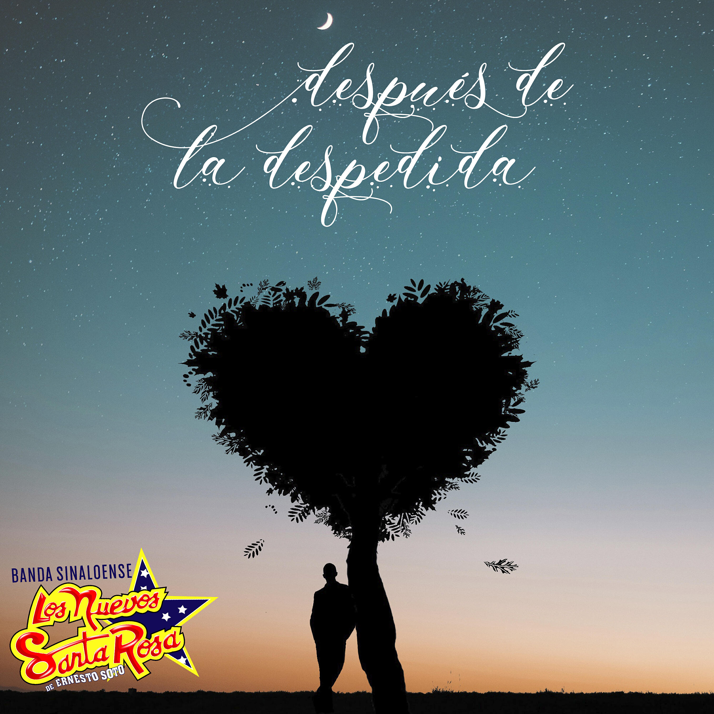 Релиз Despues de la Despedida