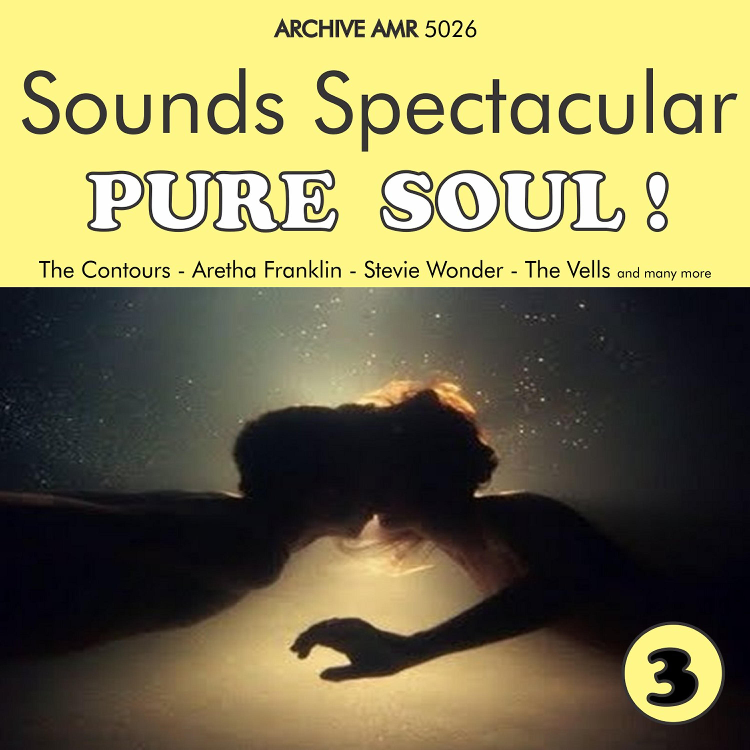 Релиз Sounds Spectacular: Pure Soul ! Volume 3